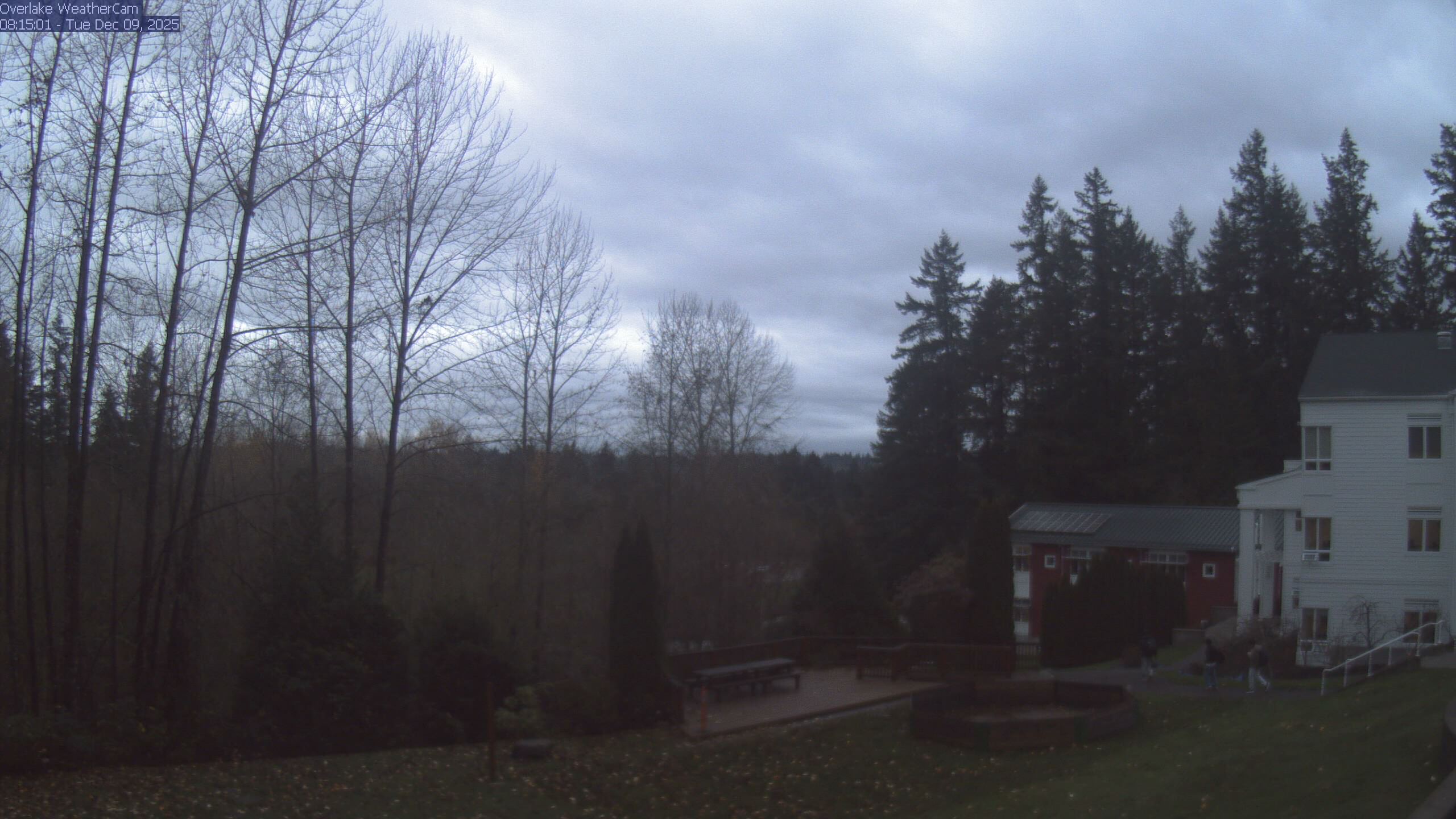 Thumbnail for current weather camera view from The Overlake School in Redmond, Washington