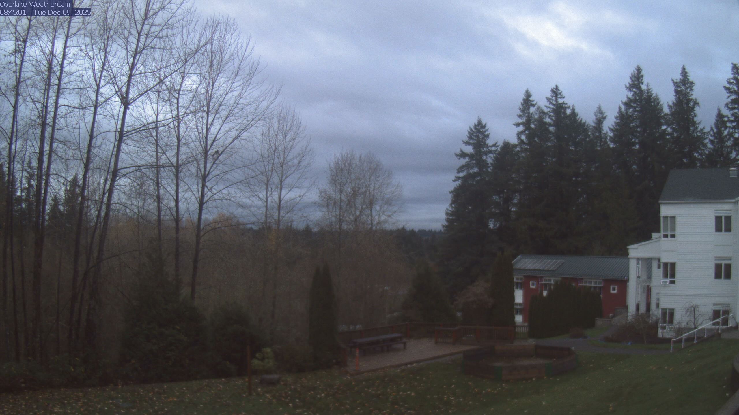 Thumbnail for current weather camera view from The Overlake School in Redmond, Washington