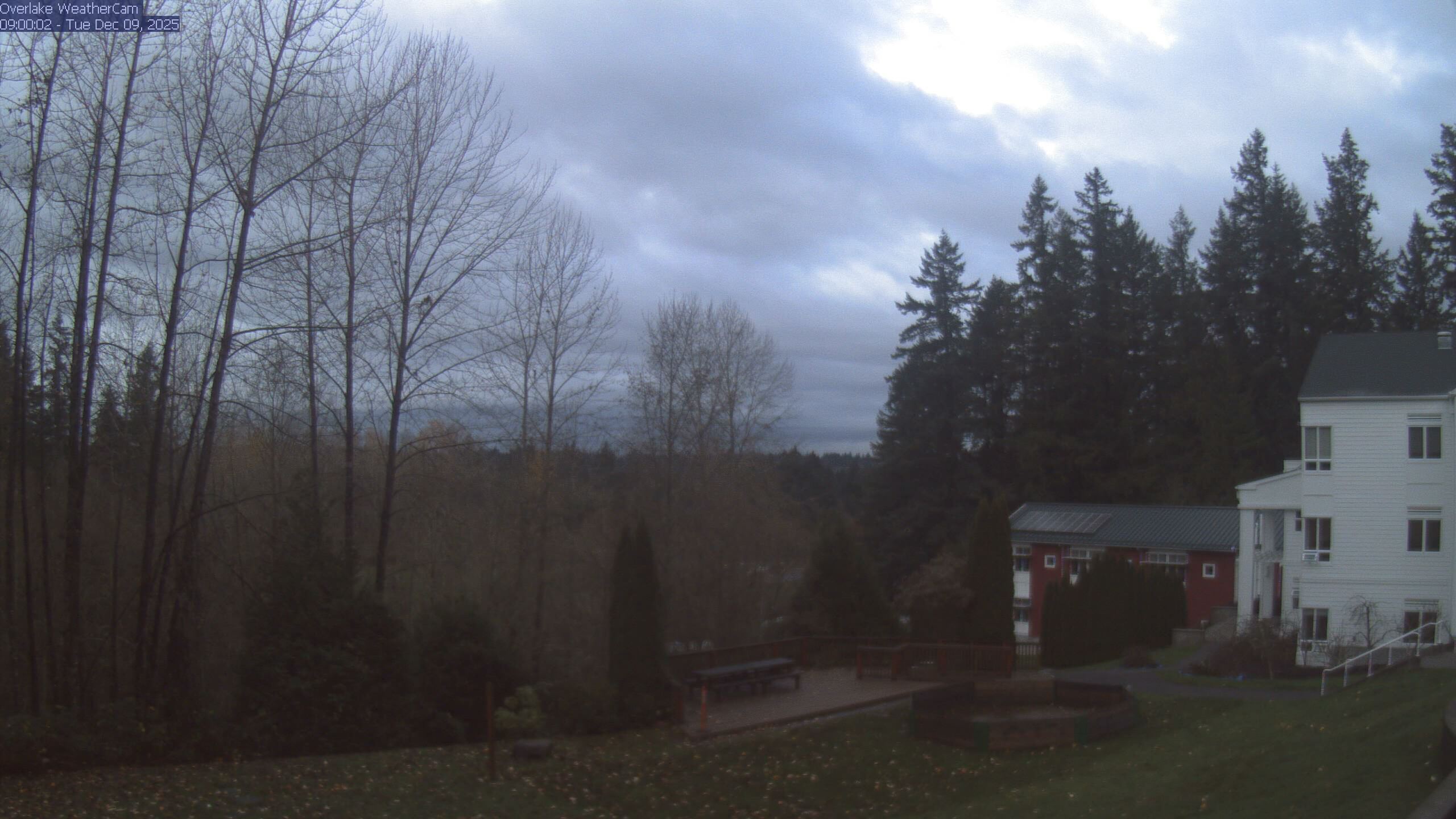 Thumbnail for current weather camera view from The Overlake School in Redmond, Washington
