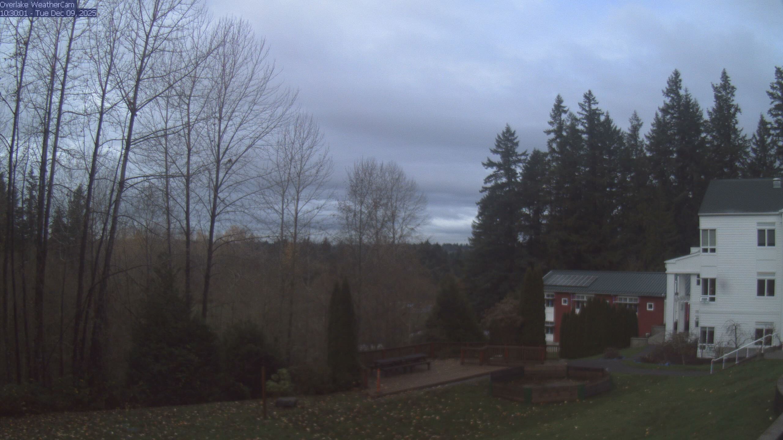 Thumbnail for current weather camera view from The Overlake School in Redmond, Washington