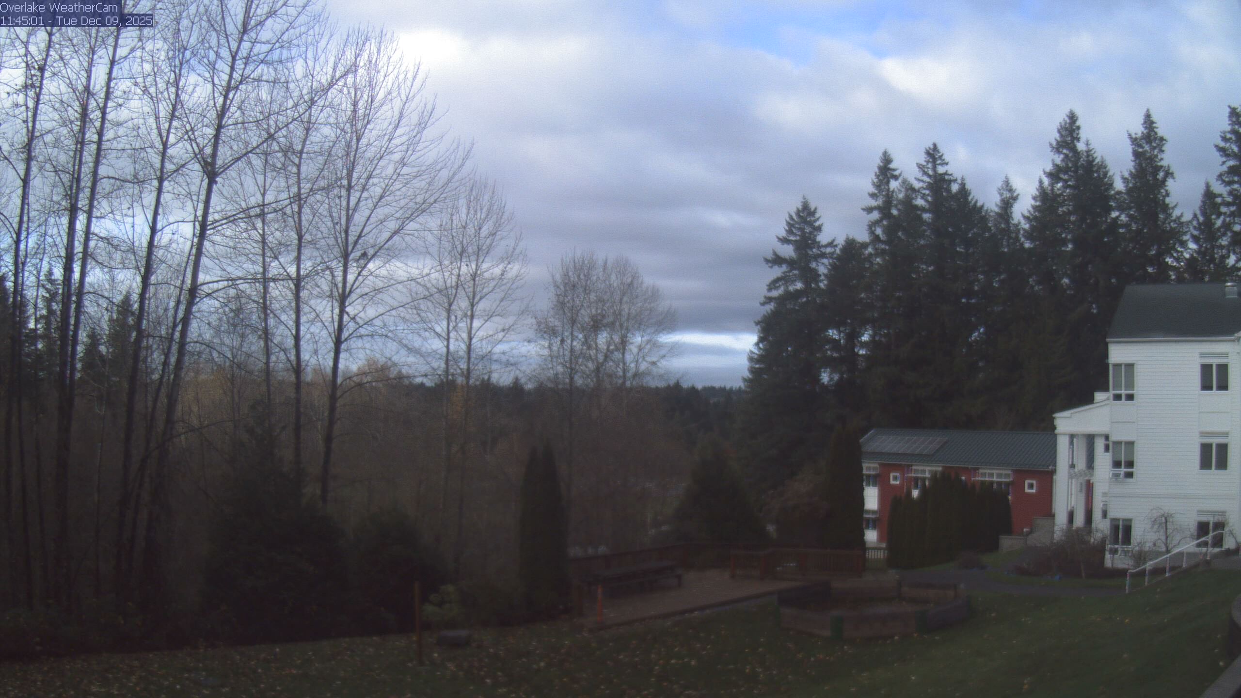 Thumbnail for current weather camera view from The Overlake School in Redmond, Washington