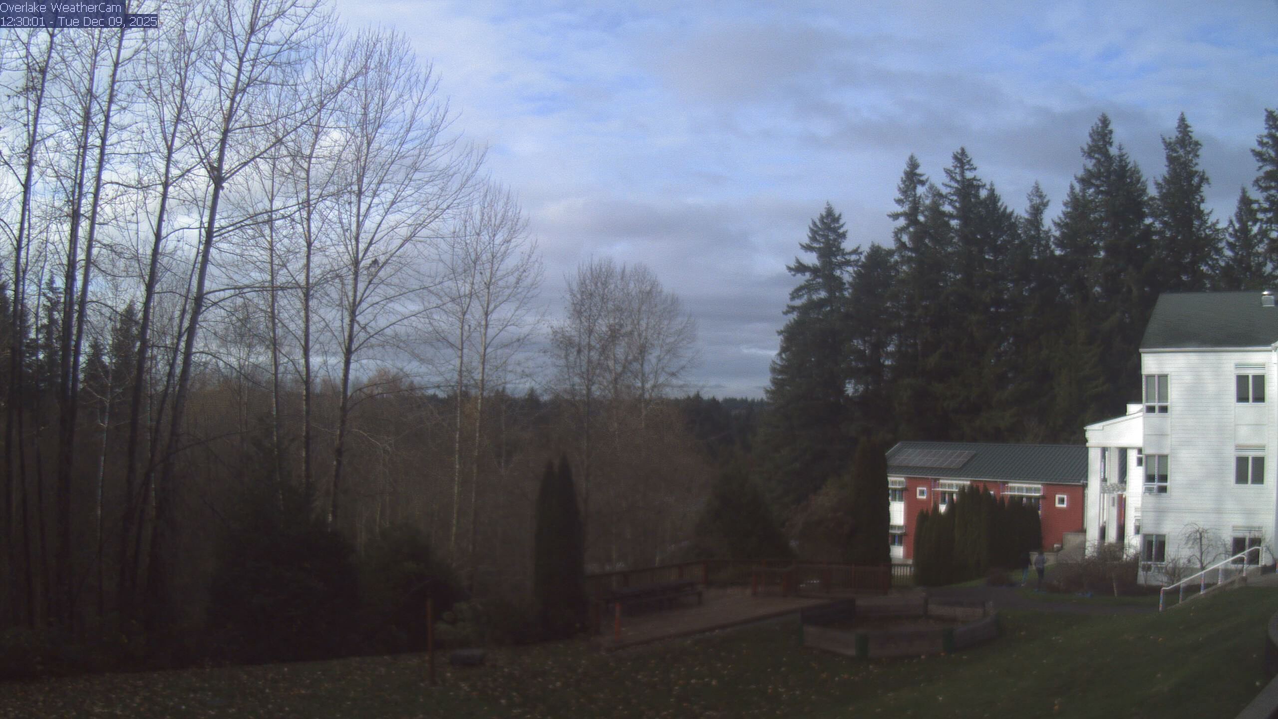 Thumbnail for current weather camera view from The Overlake School in Redmond, Washington
