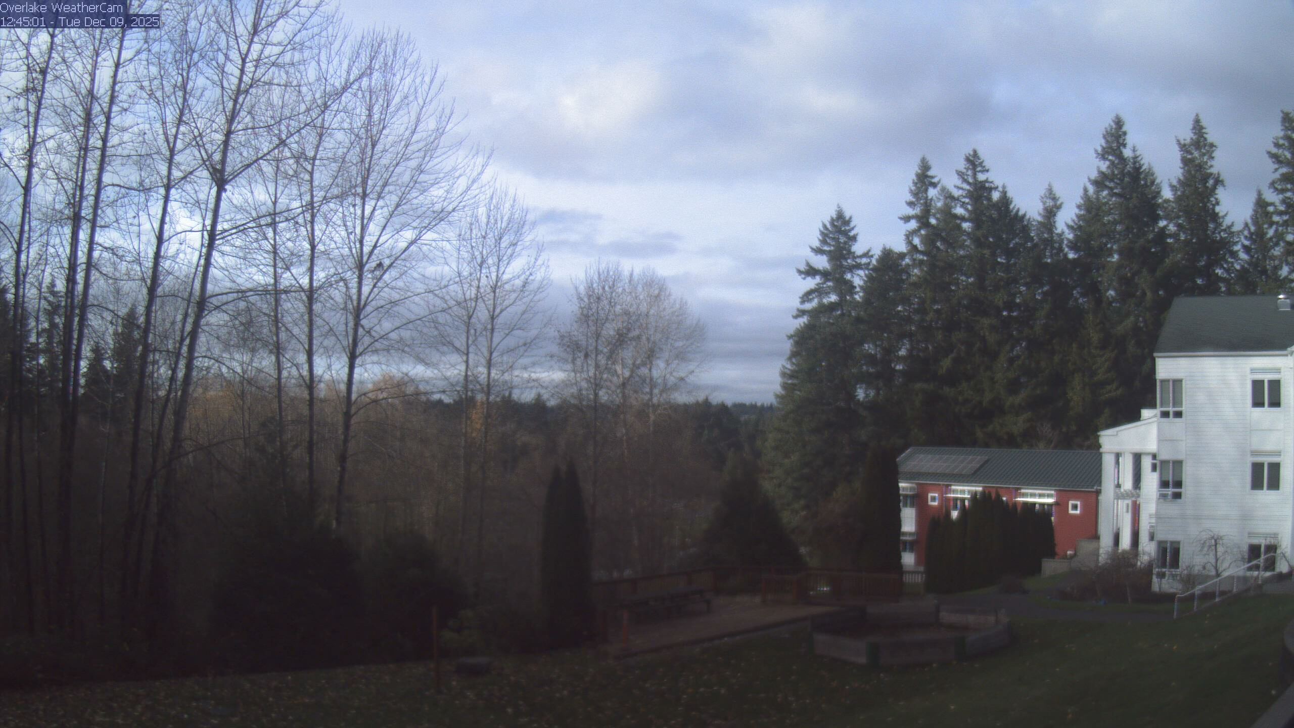 Thumbnail for current weather camera view from The Overlake School in Redmond, Washington
