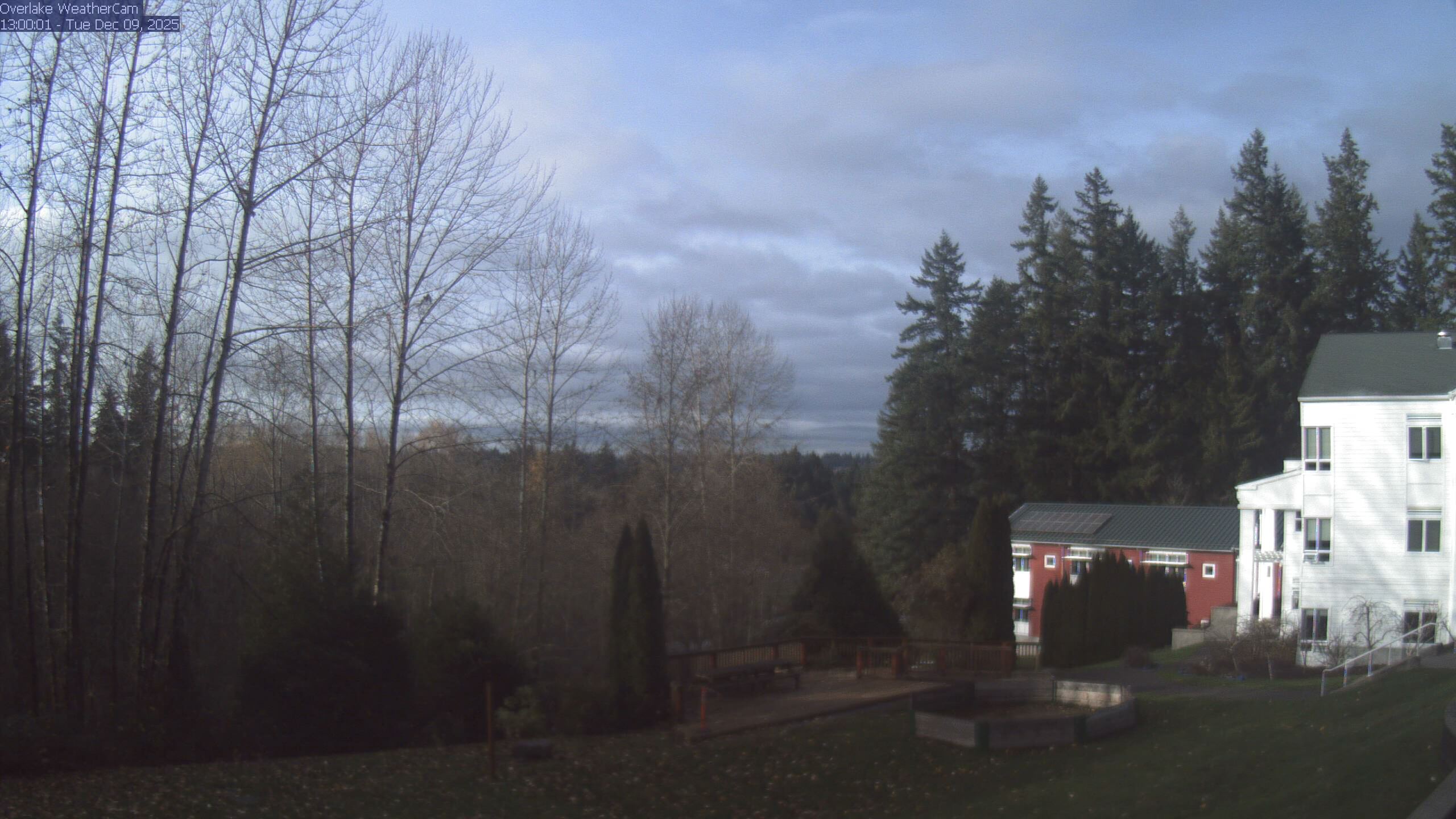 Thumbnail for current weather camera view from The Overlake School in Redmond, Washington