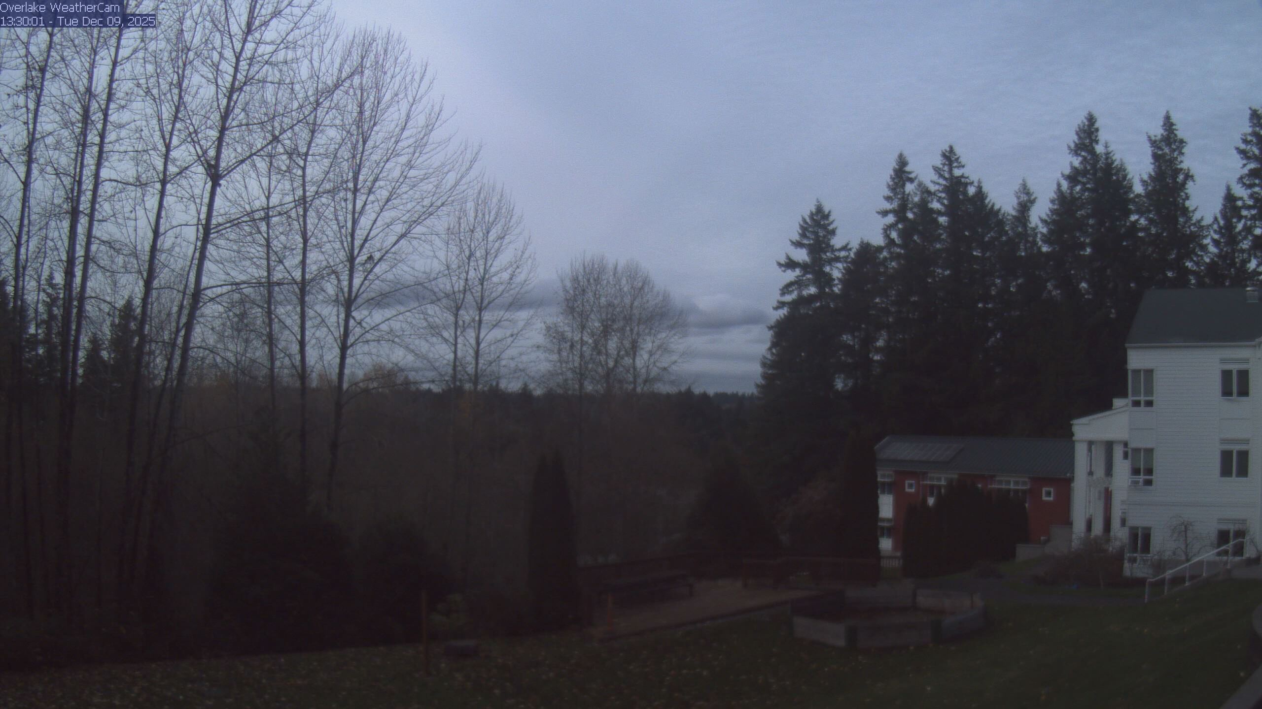 Thumbnail for current weather camera view from The Overlake School in Redmond, Washington