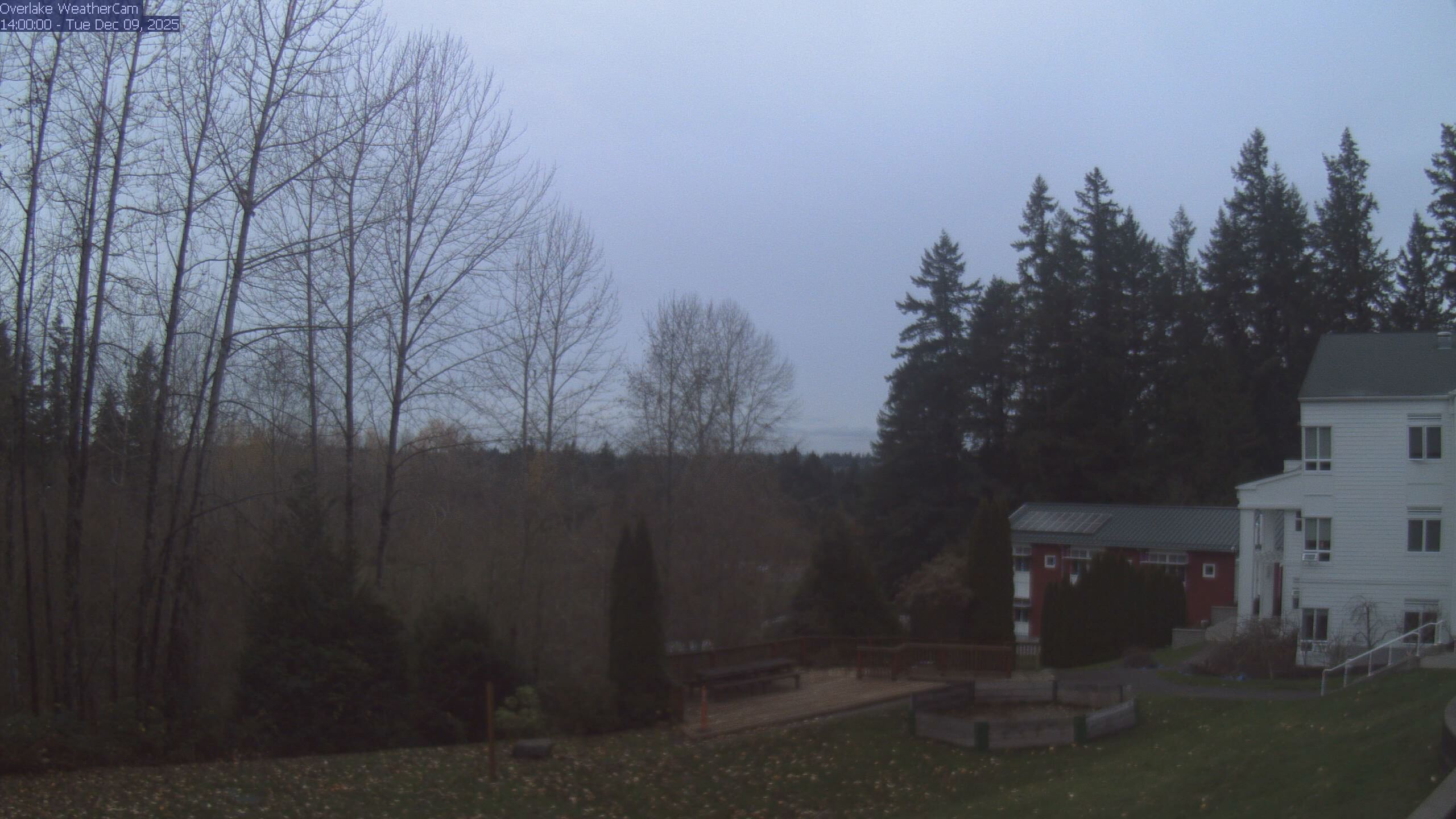 Thumbnail for current weather camera view from The Overlake School in Redmond, Washington