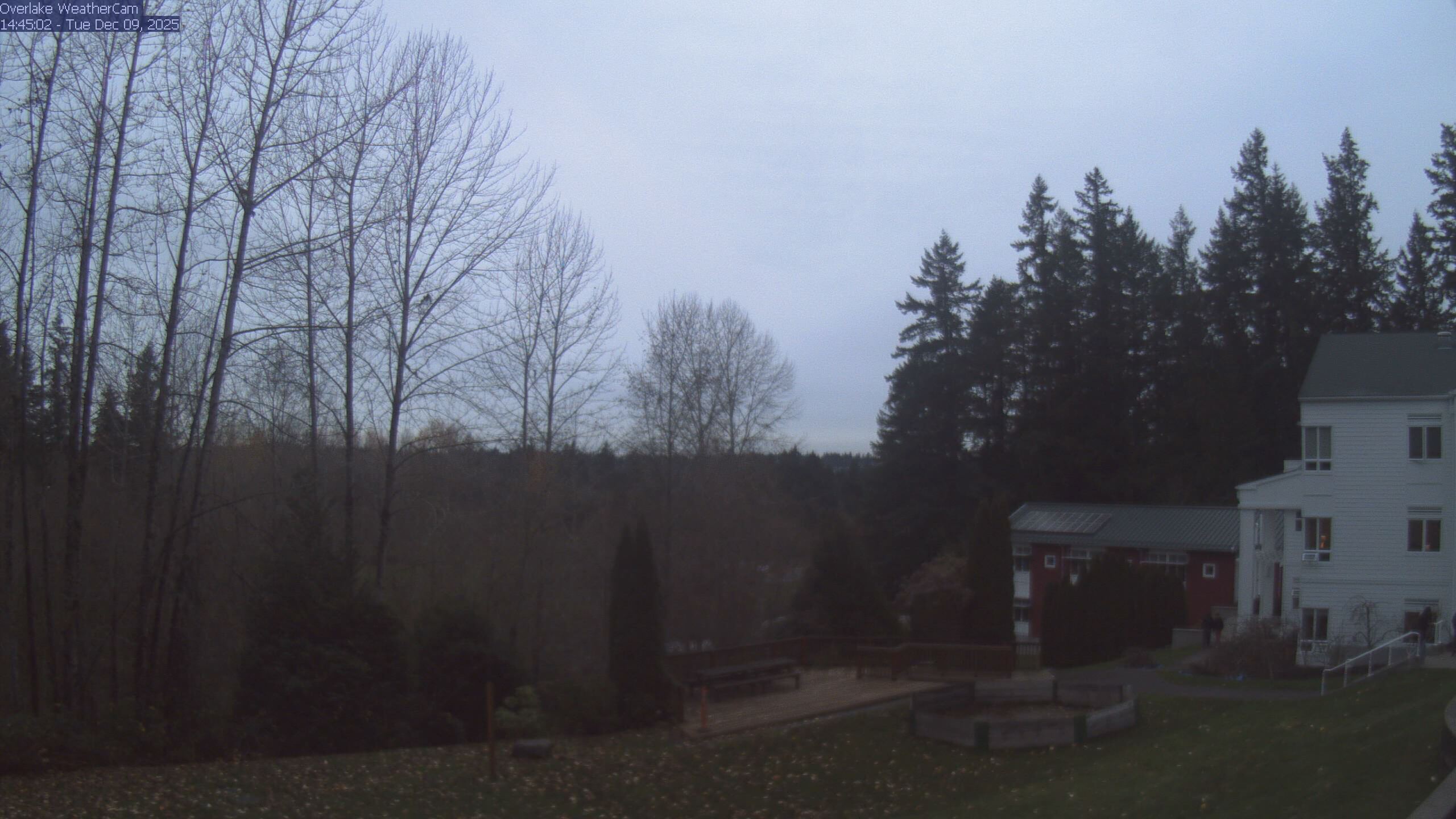 Thumbnail for current weather camera view from The Overlake School in Redmond, Washington