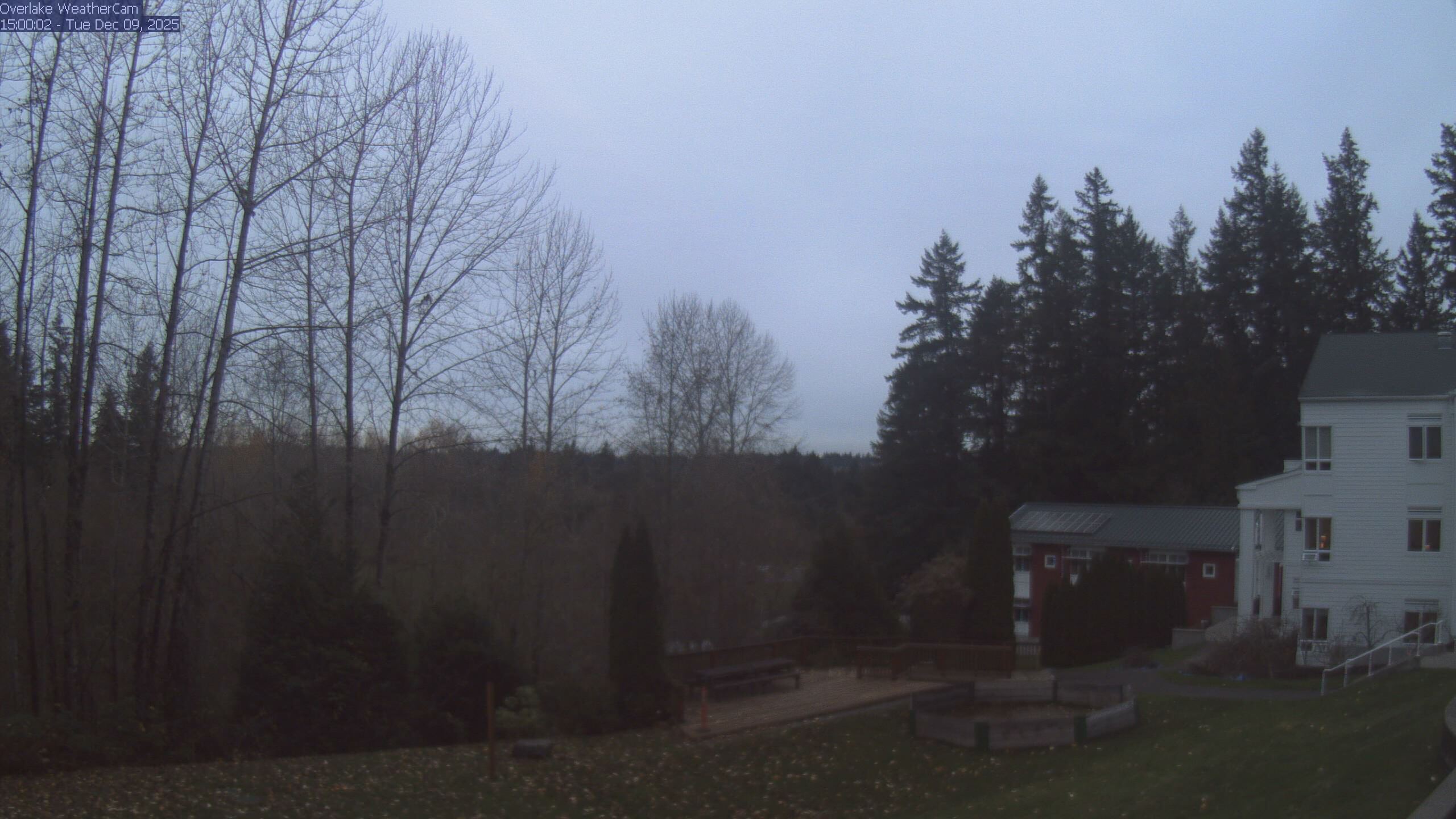 Thumbnail for current weather camera view from The Overlake School in Redmond, Washington