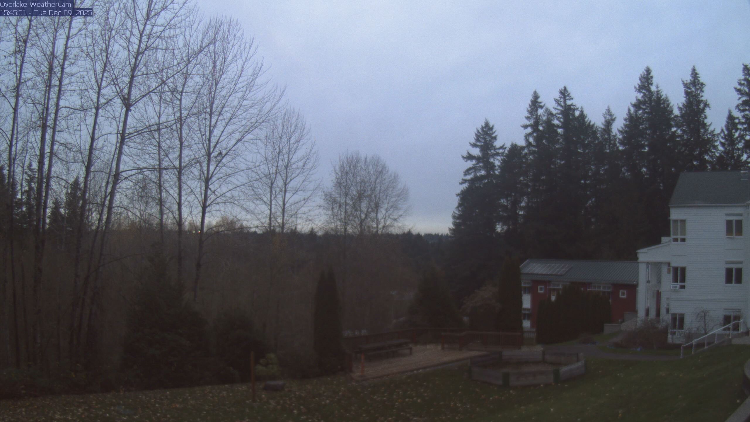 Thumbnail for current weather camera view from The Overlake School in Redmond, Washington