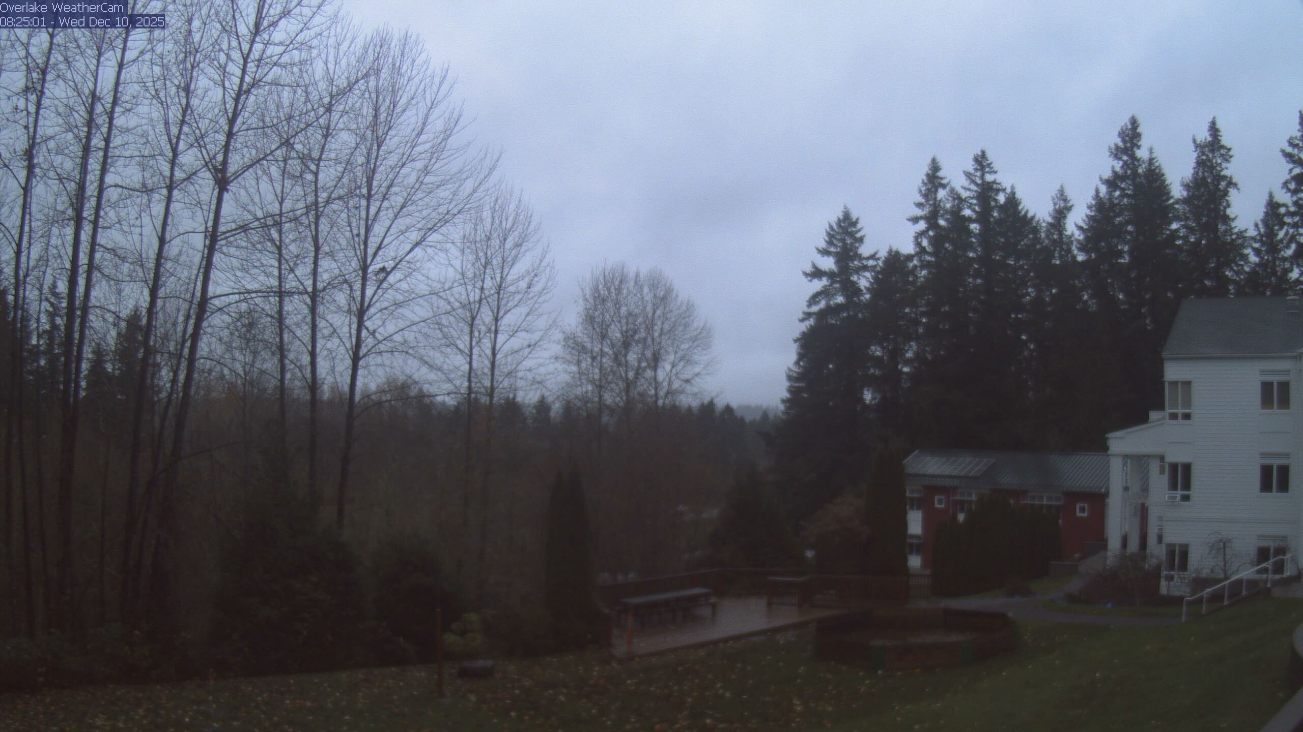 Thumbnail for current weather camera view from The Overlake School in Redmond, Washington