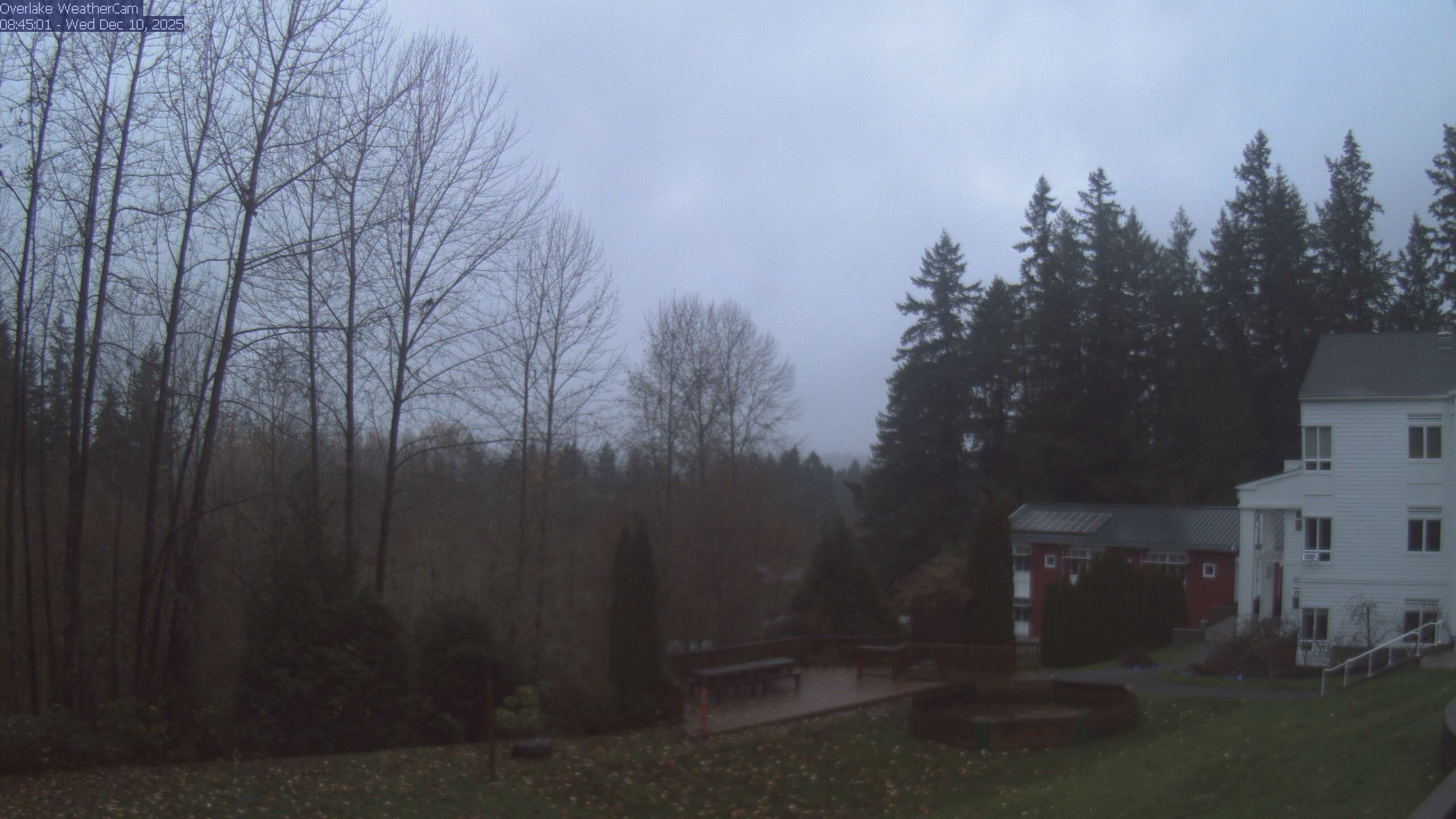 Thumbnail for current weather camera view from The Overlake School in Redmond, Washington