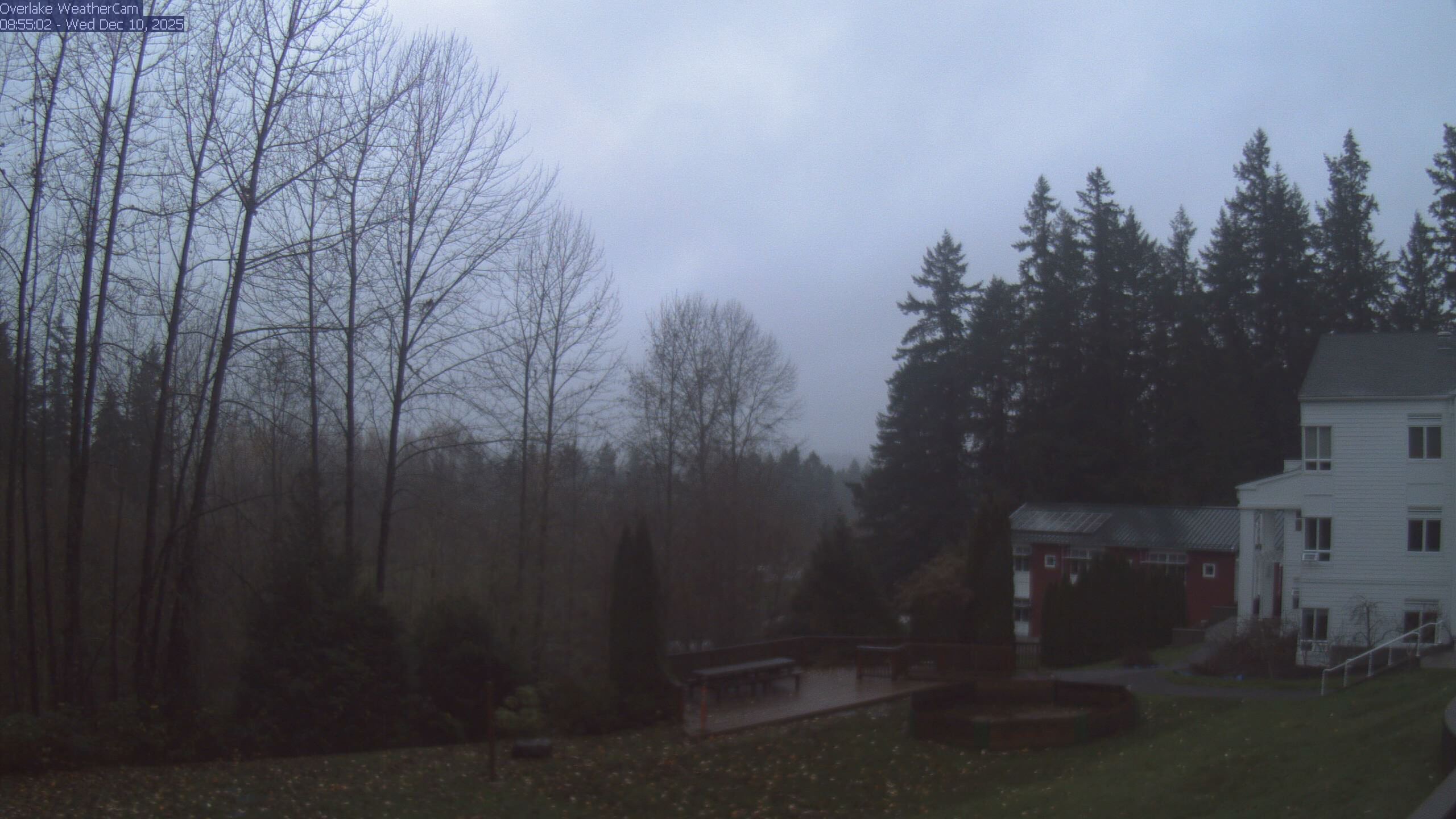 Thumbnail for current weather camera view from The Overlake School in Redmond, Washington
