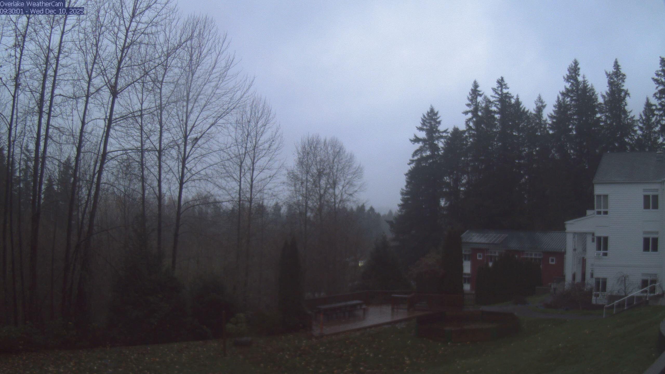 Thumbnail for current weather camera view from The Overlake School in Redmond, Washington