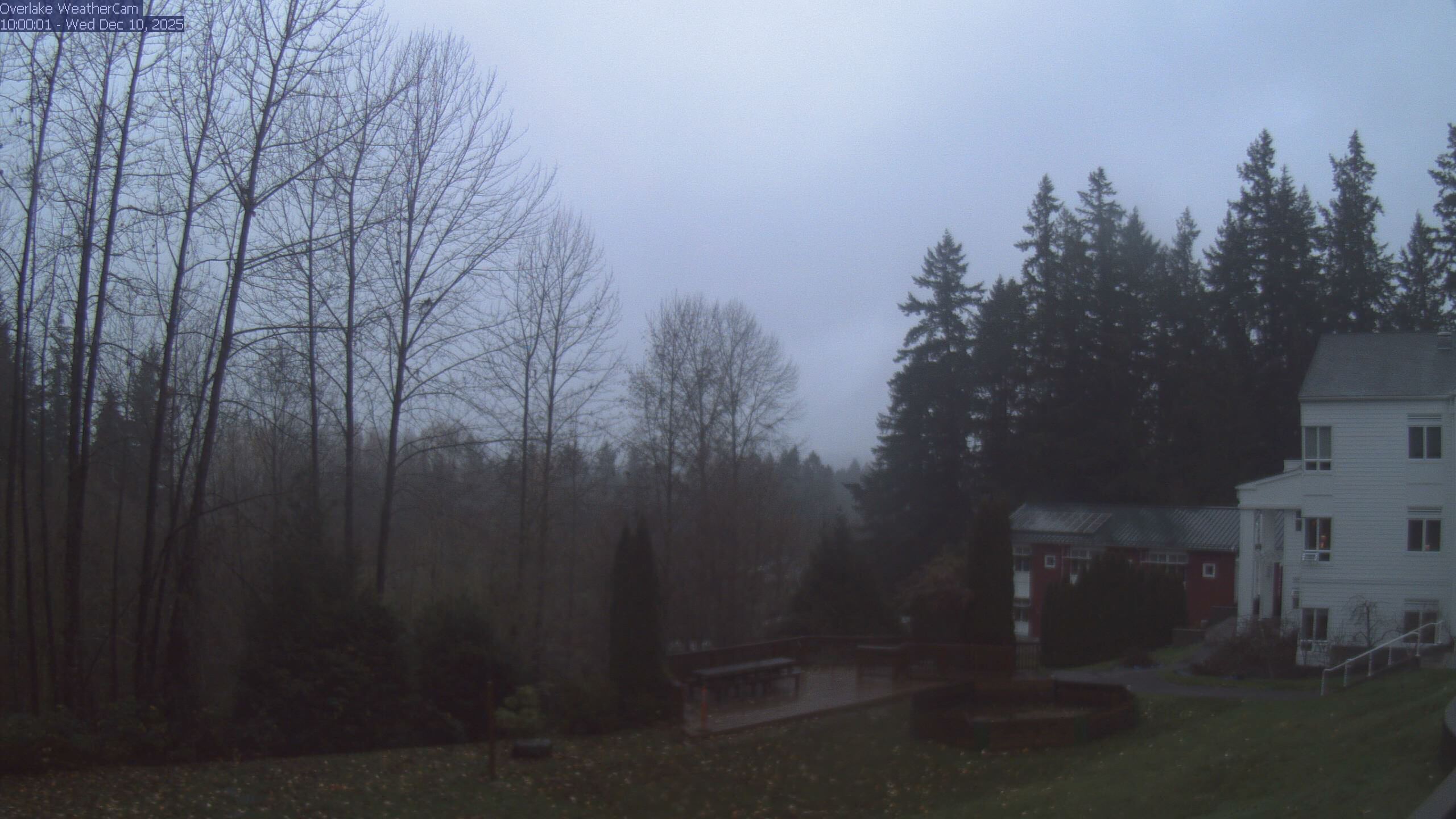 Thumbnail for current weather camera view from The Overlake School in Redmond, Washington