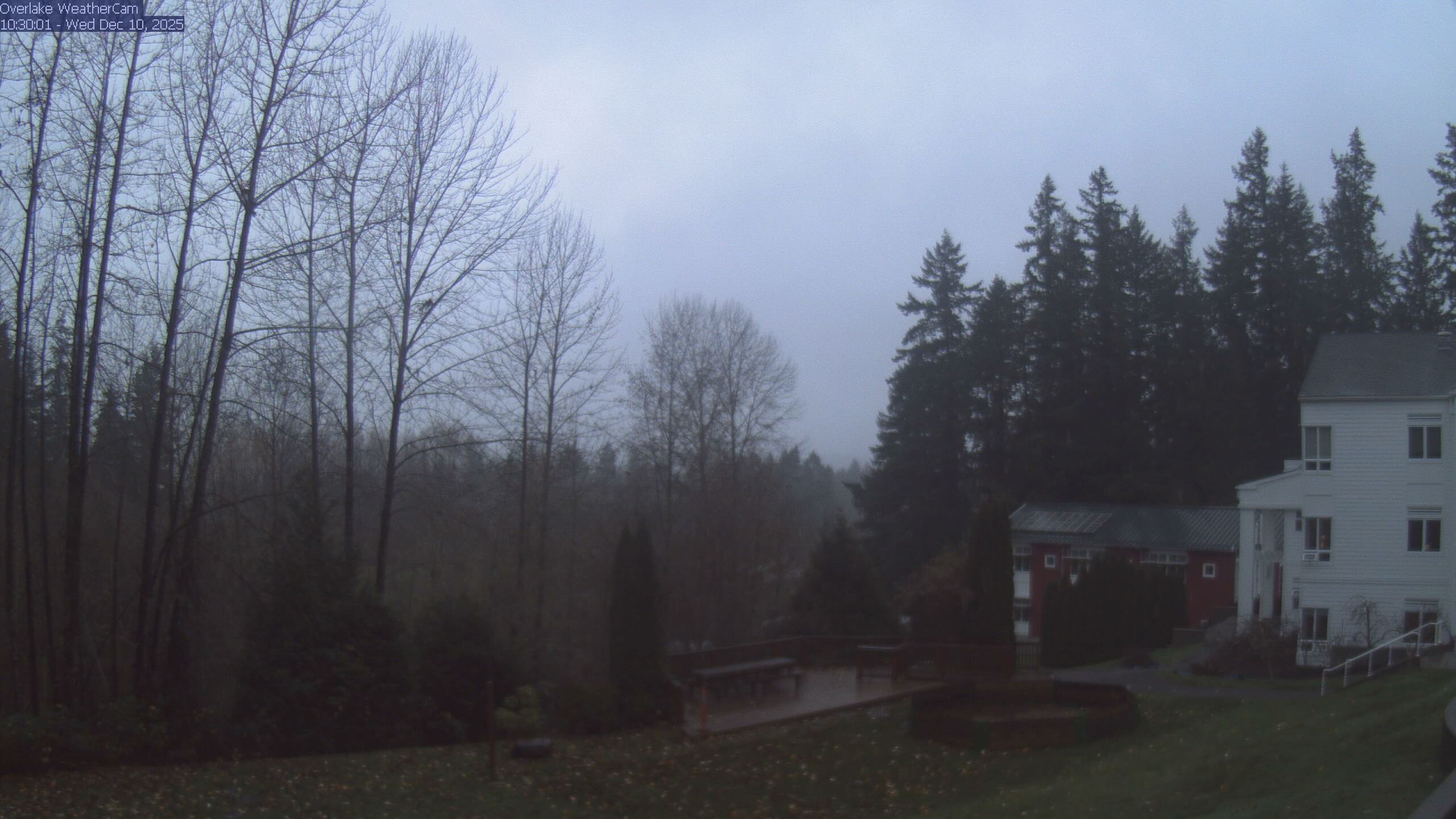 Thumbnail for current weather camera view from The Overlake School in Redmond, Washington