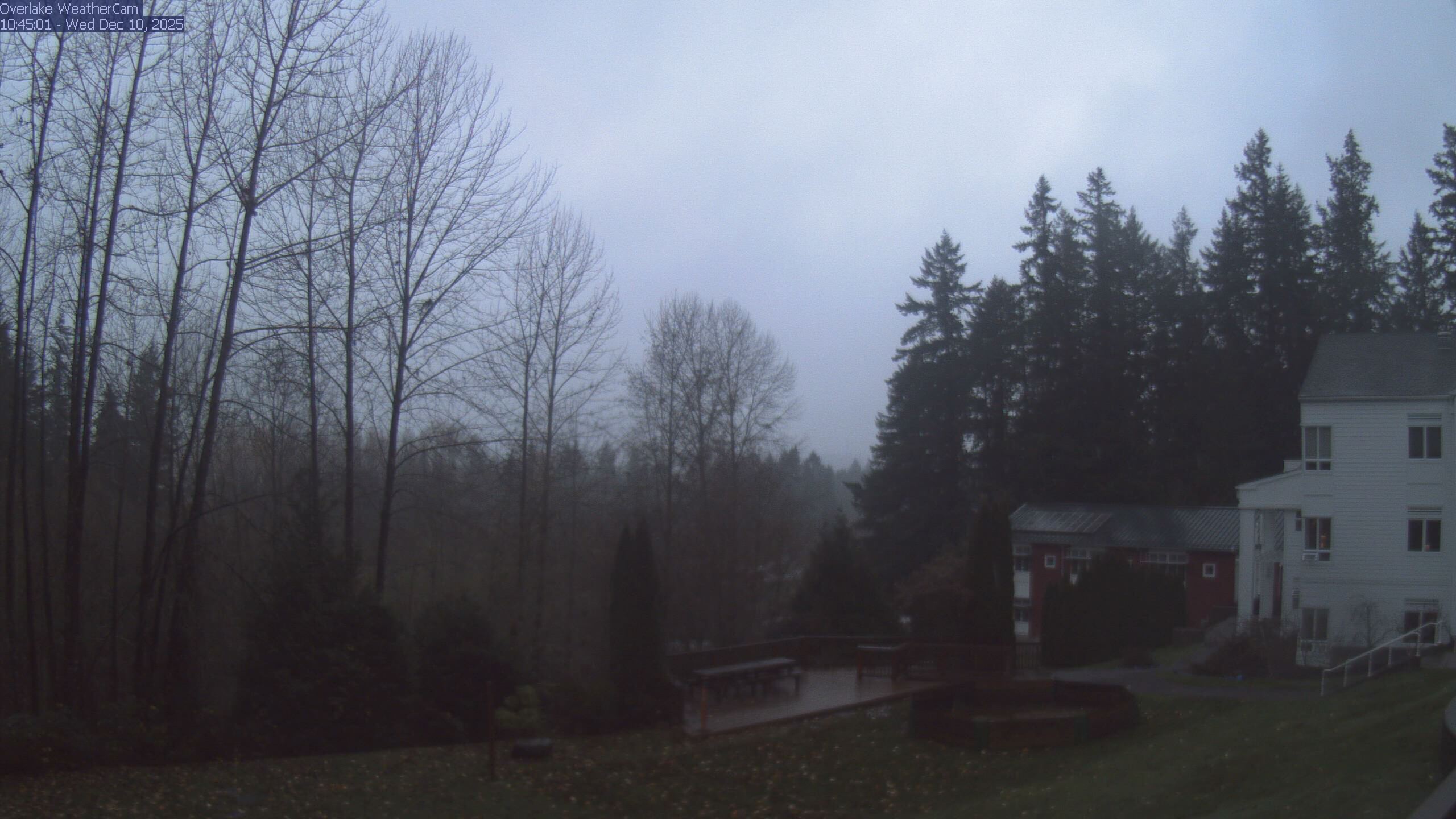 Thumbnail for current weather camera view from The Overlake School in Redmond, Washington