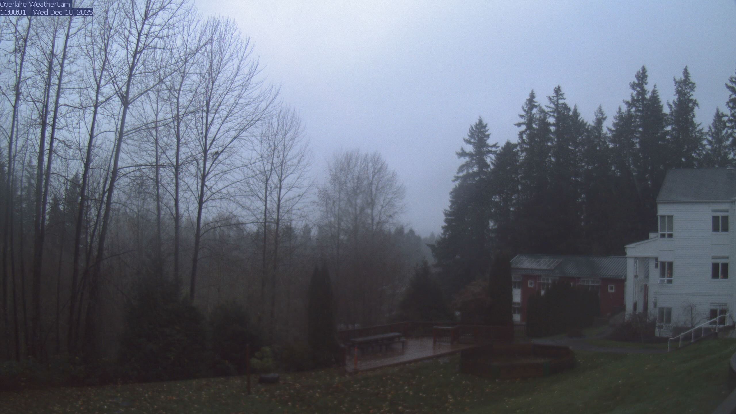 Thumbnail for current weather camera view from The Overlake School in Redmond, Washington
