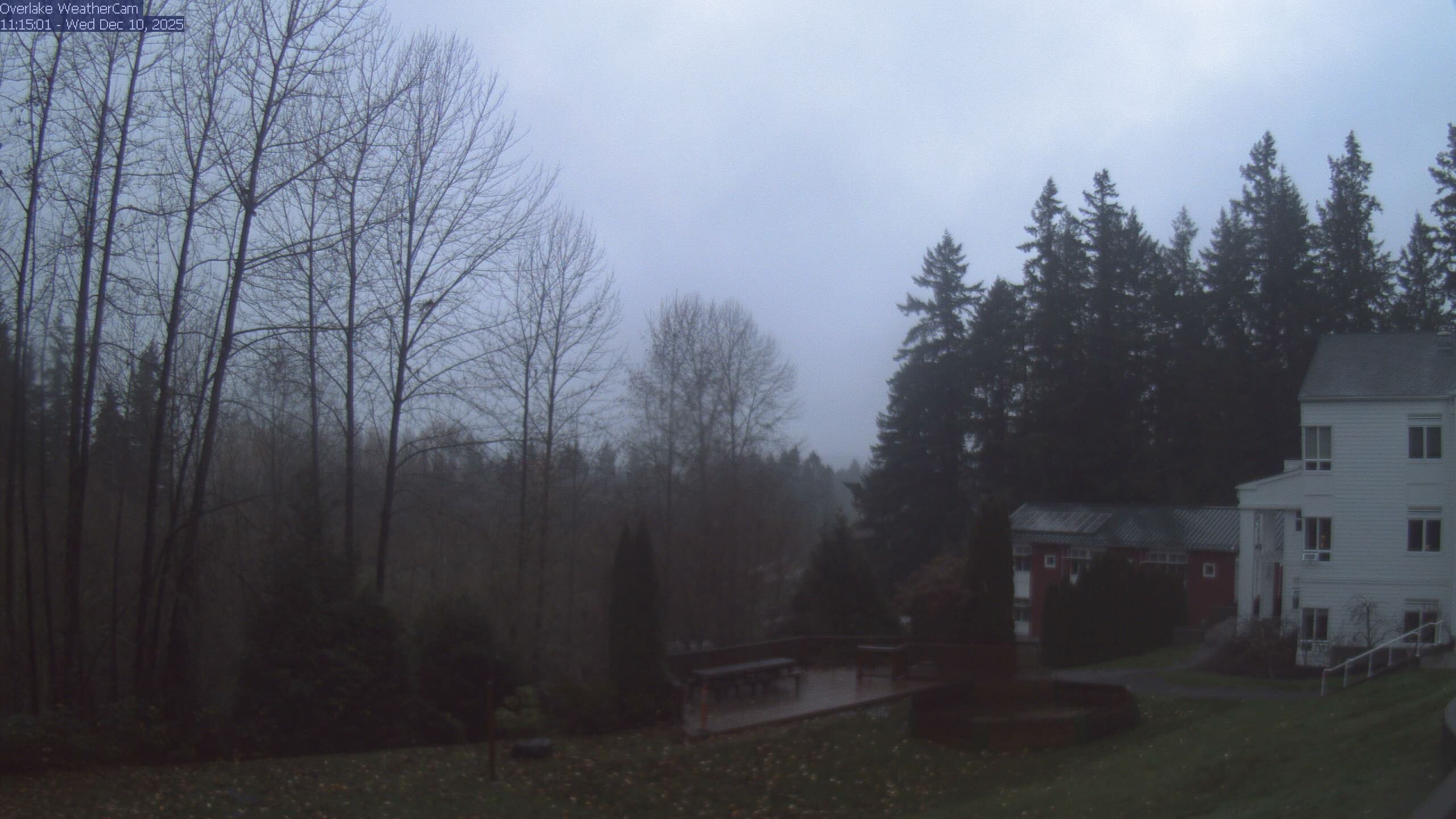 Thumbnail for current weather camera view from The Overlake School in Redmond, Washington
