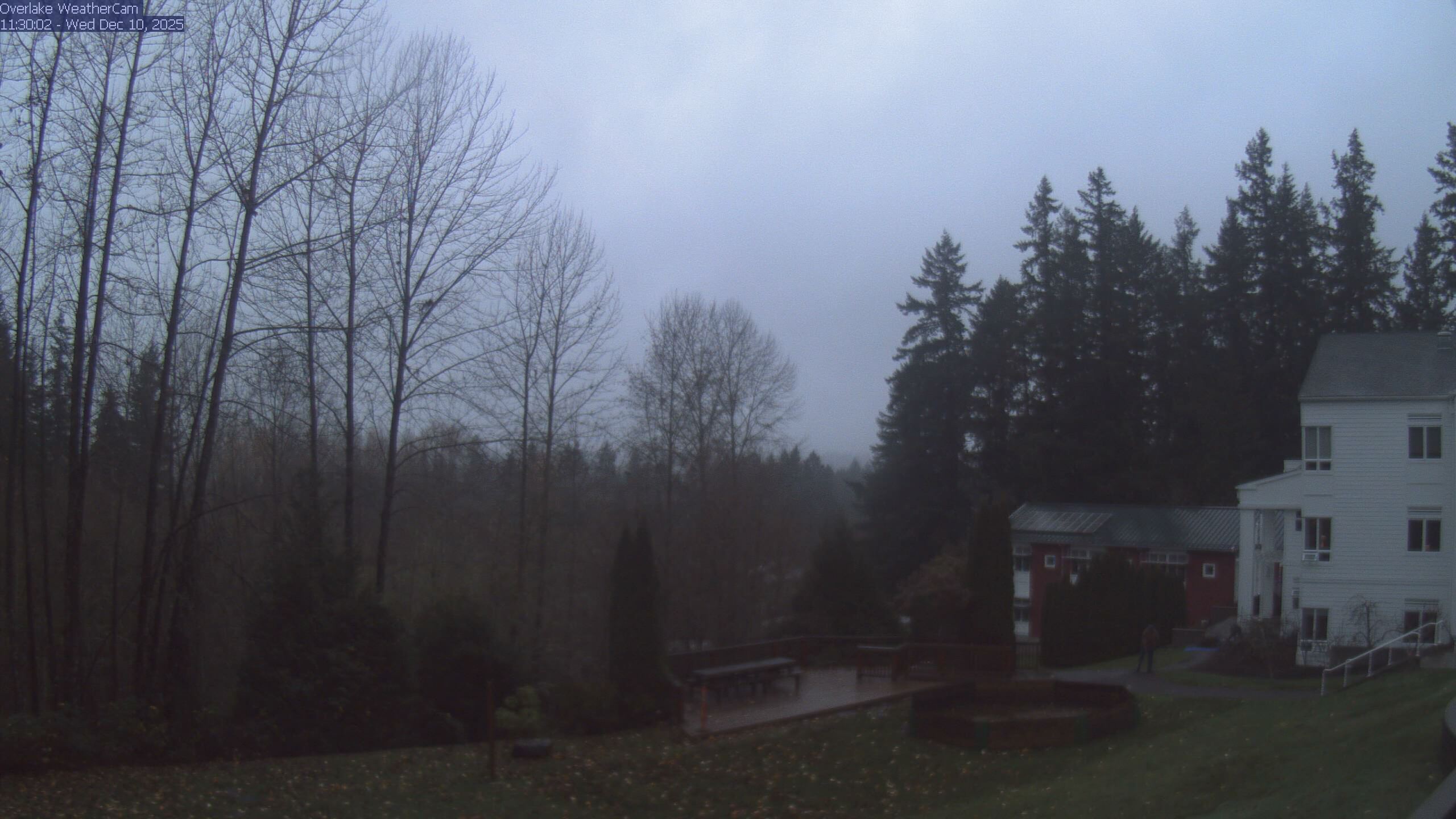 Thumbnail for current weather camera view from The Overlake School in Redmond, Washington