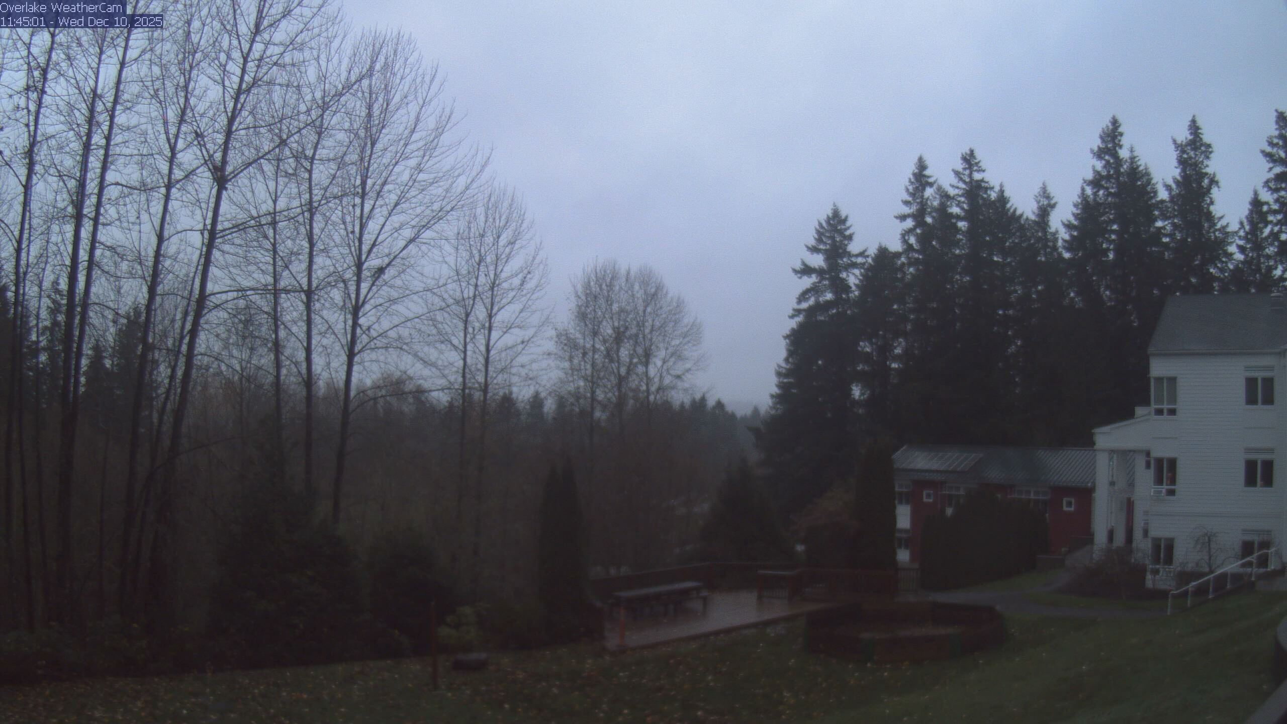 Thumbnail for current weather camera view from The Overlake School in Redmond, Washington