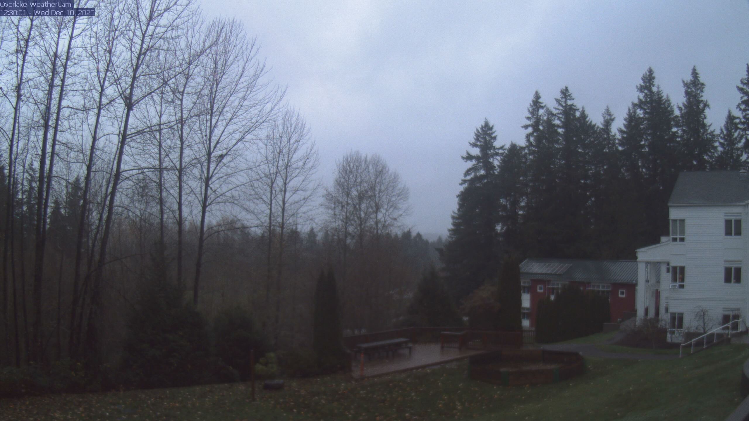 Thumbnail for current weather camera view from The Overlake School in Redmond, Washington