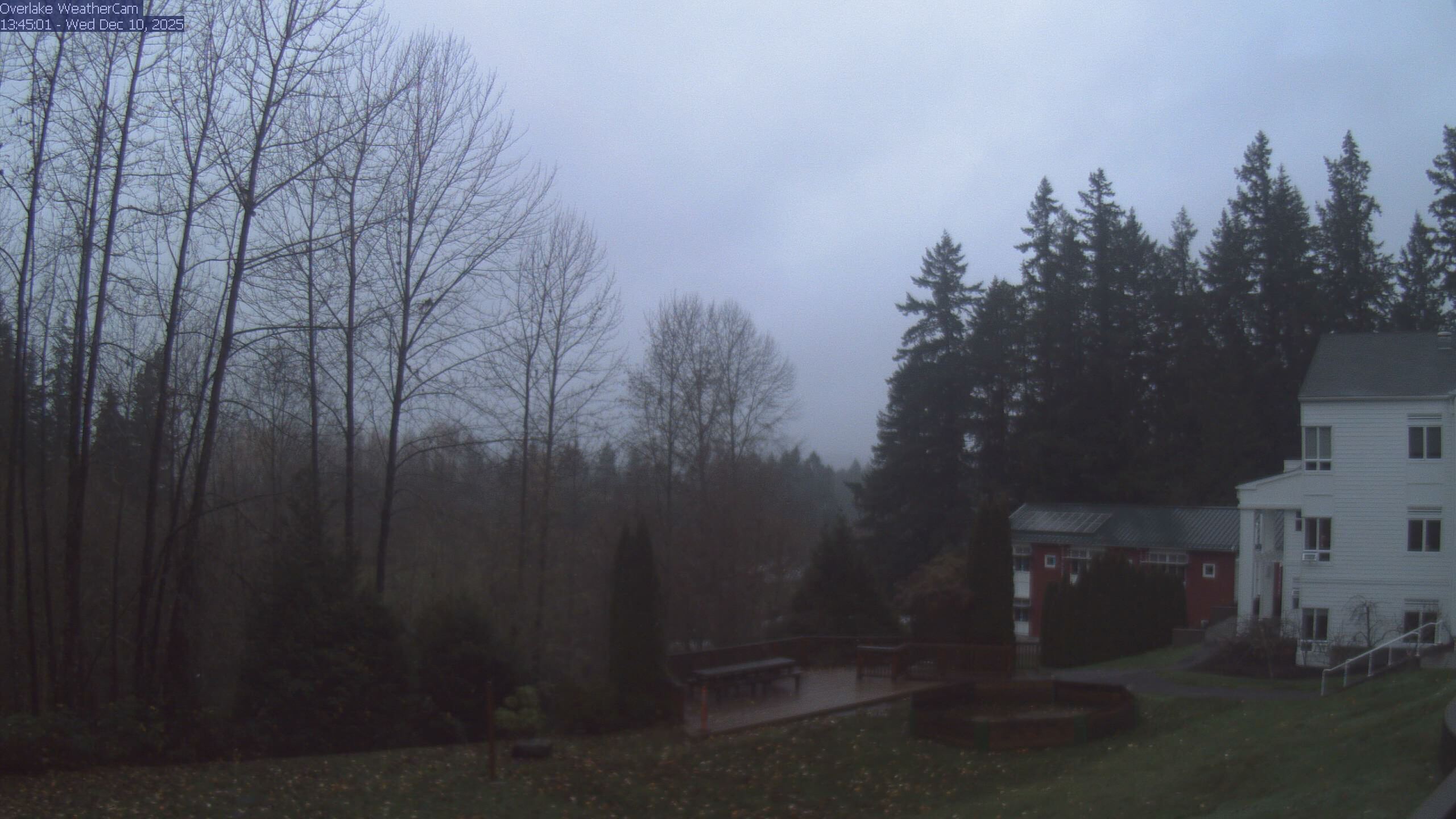 Thumbnail for current weather camera view from The Overlake School in Redmond, Washington