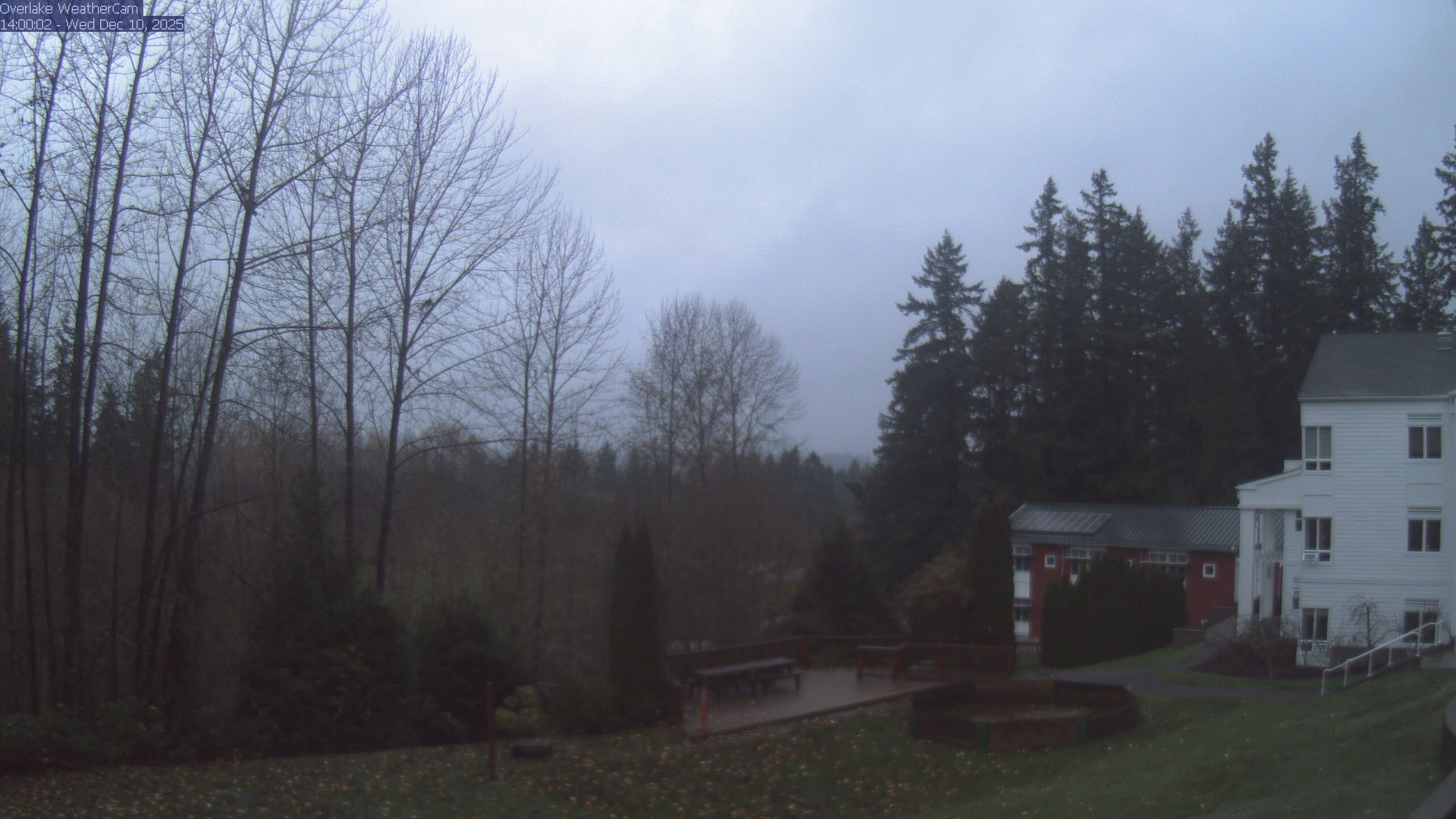 Thumbnail for current weather camera view from The Overlake School in Redmond, Washington