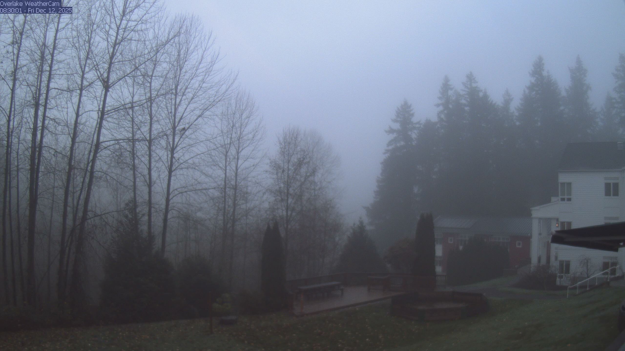 Thumbnail for current weather camera view from The Overlake School in Redmond, Washington