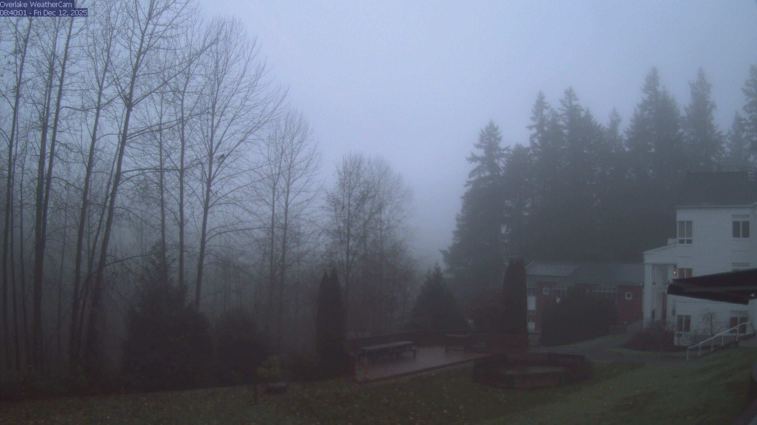 Thumbnail for current weather camera view from The Overlake School in Redmond, Washington