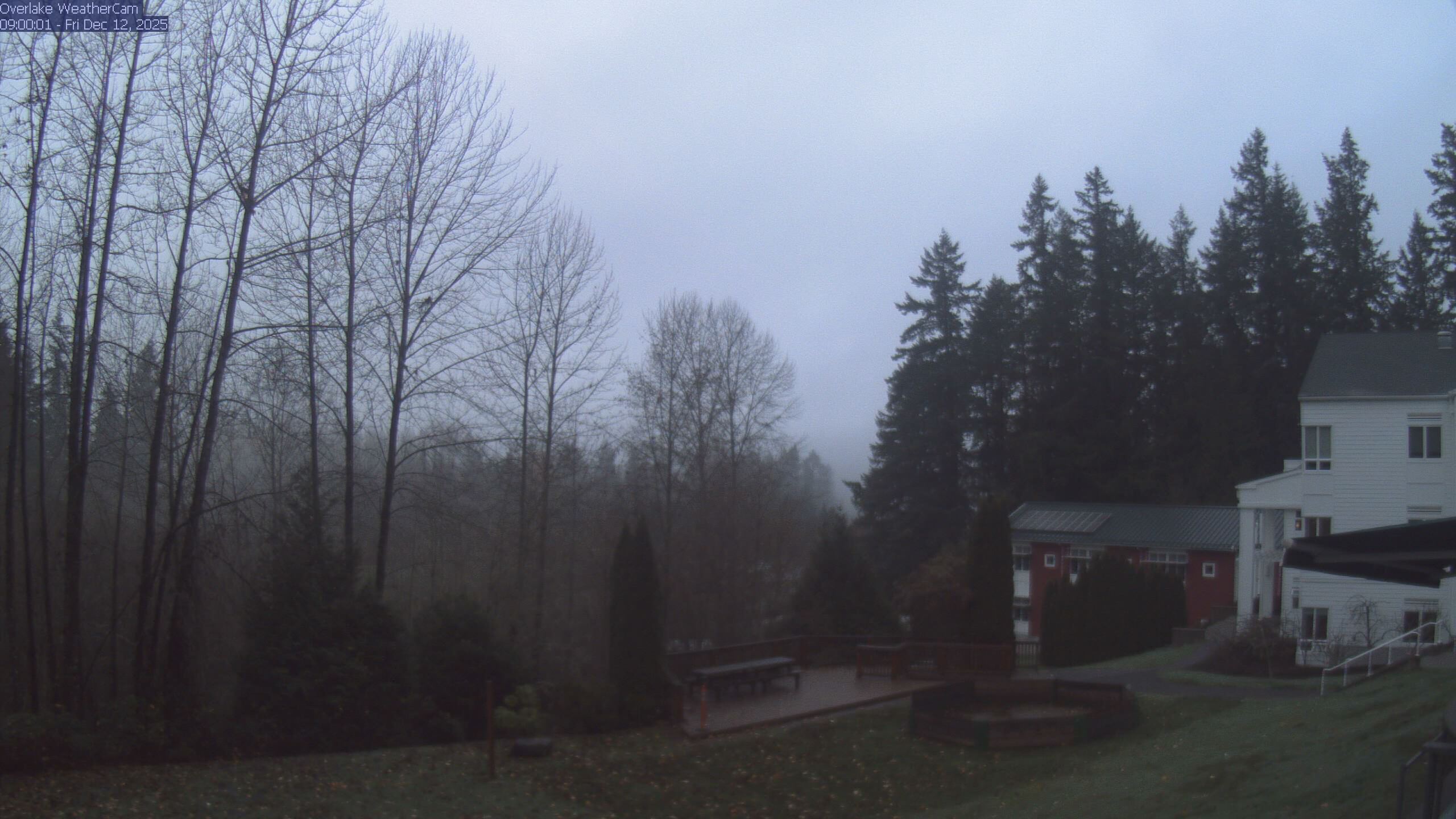 Thumbnail for current weather camera view from The Overlake School in Redmond, Washington