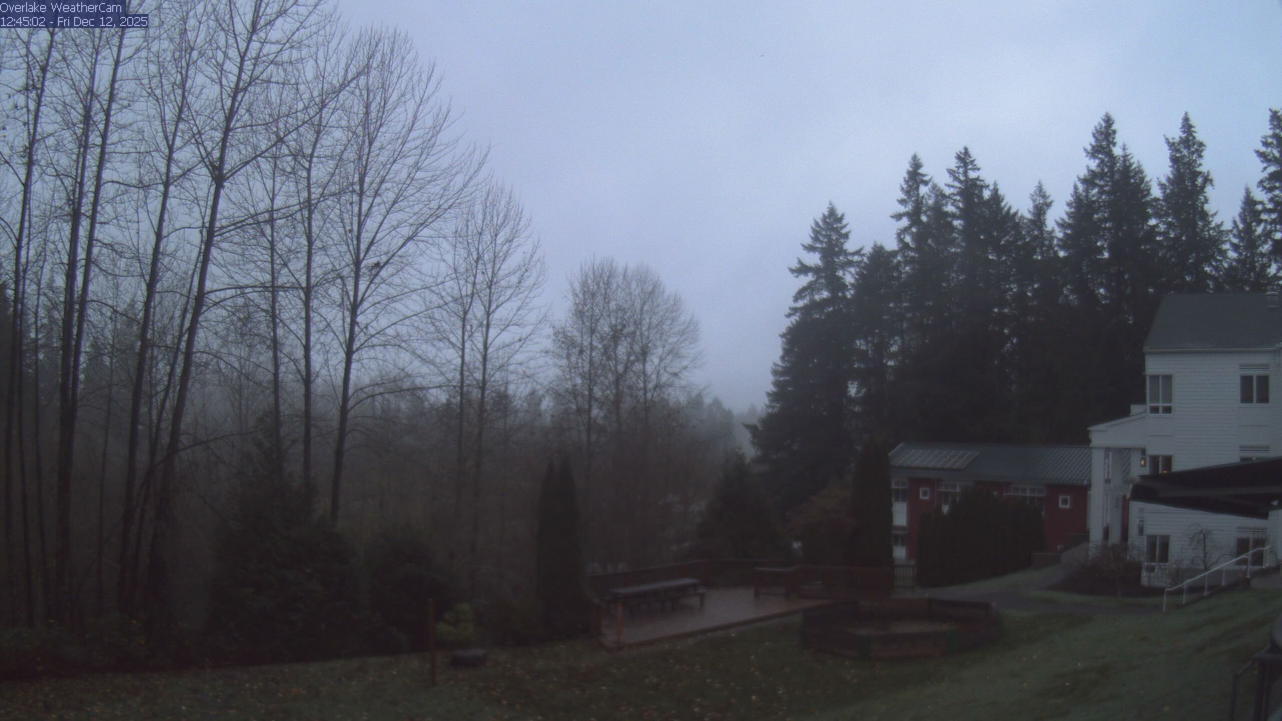 Thumbnail for current weather camera view from The Overlake School in Redmond, Washington