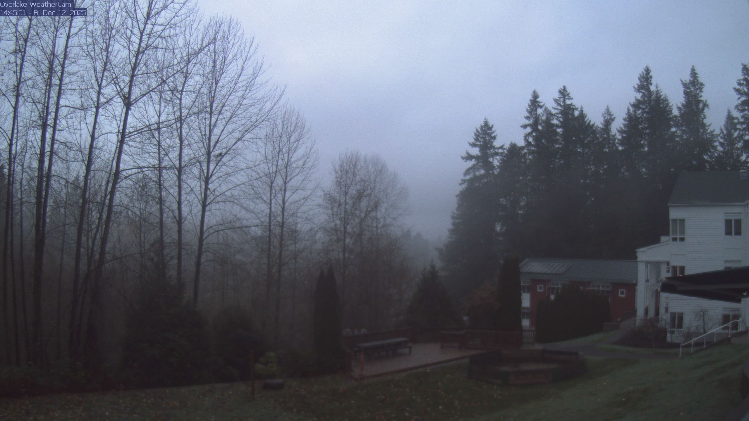 Thumbnail for current weather camera view from The Overlake School in Redmond, Washington