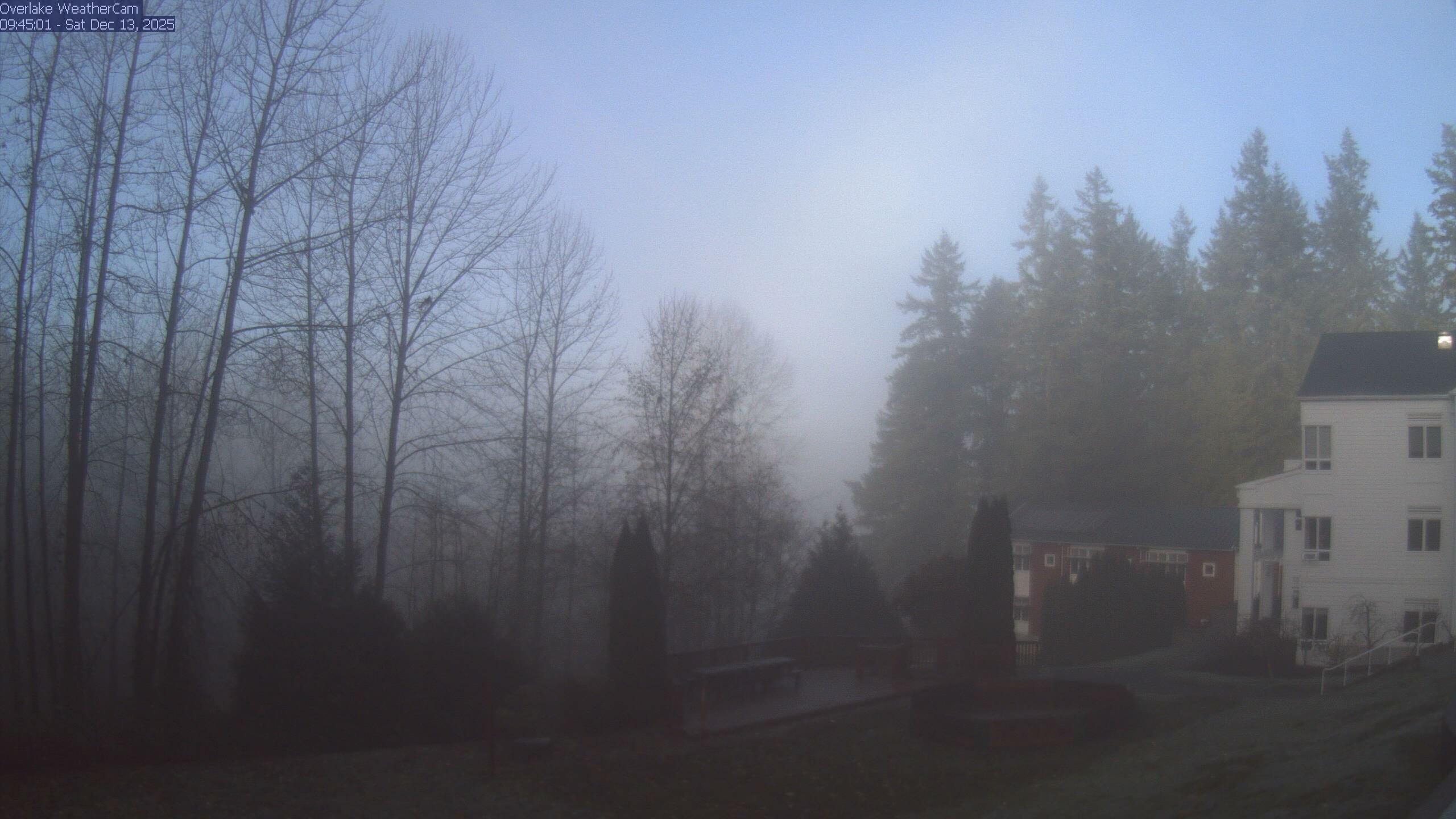 Thumbnail for current weather camera view from The Overlake School in Redmond, Washington