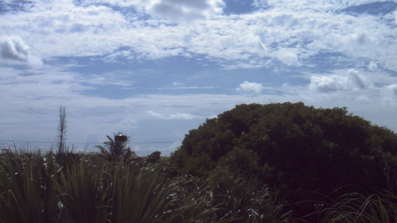 Thumbnail for current weather camera view from Dr Mary McLeod Bethune ES in Riviera Beach, Florida