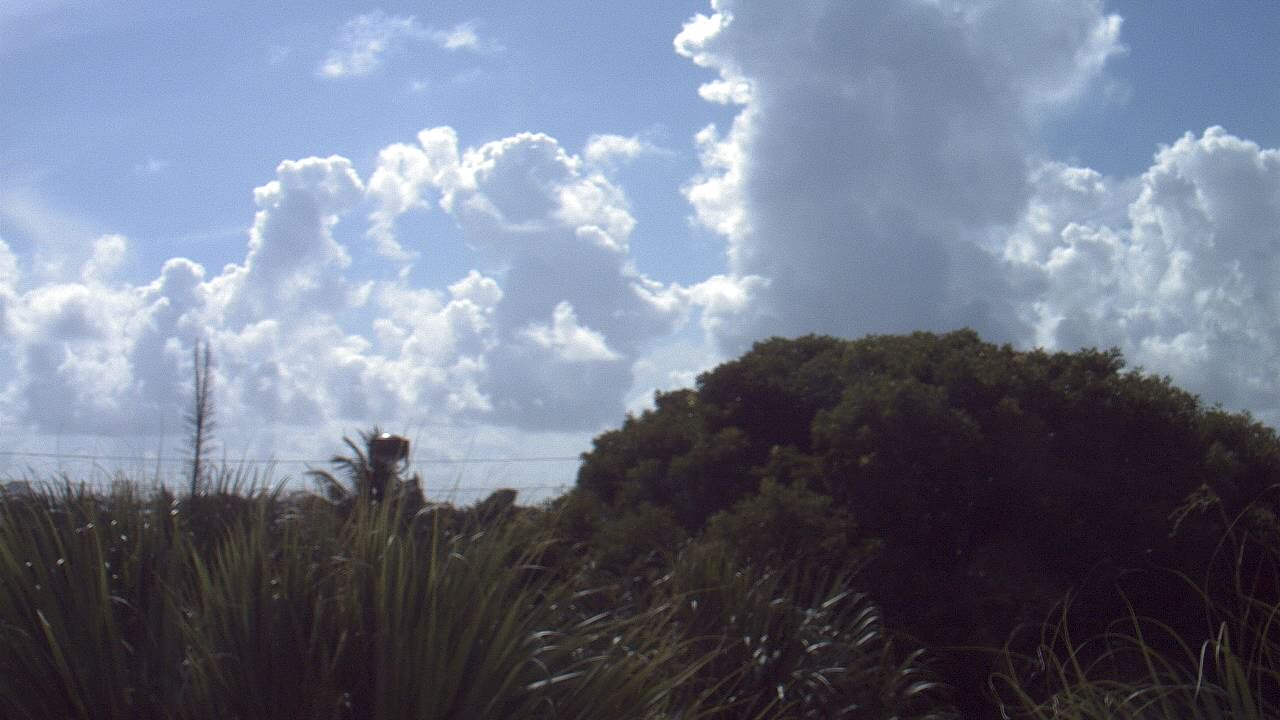 Thumbnail for current weather camera view from Dr Mary McLeod Bethune ES in Riviera Beach, Florida