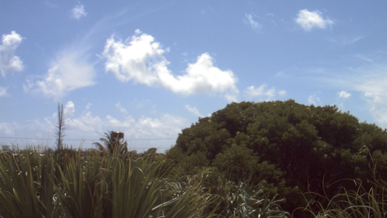 Thumbnail for current weather camera view from Dr Mary McLeod Bethune ES in Riviera Beach, Florida