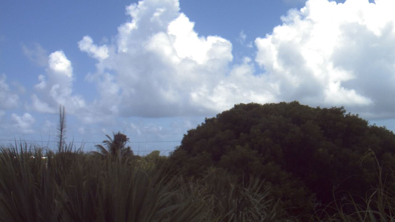 Thumbnail for current weather camera view from Dr Mary McLeod Bethune ES in Riviera Beach, Florida
