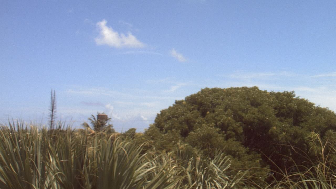 Thumbnail for current weather camera view from Dr Mary McLeod Bethune ES in Riviera Beach, Florida