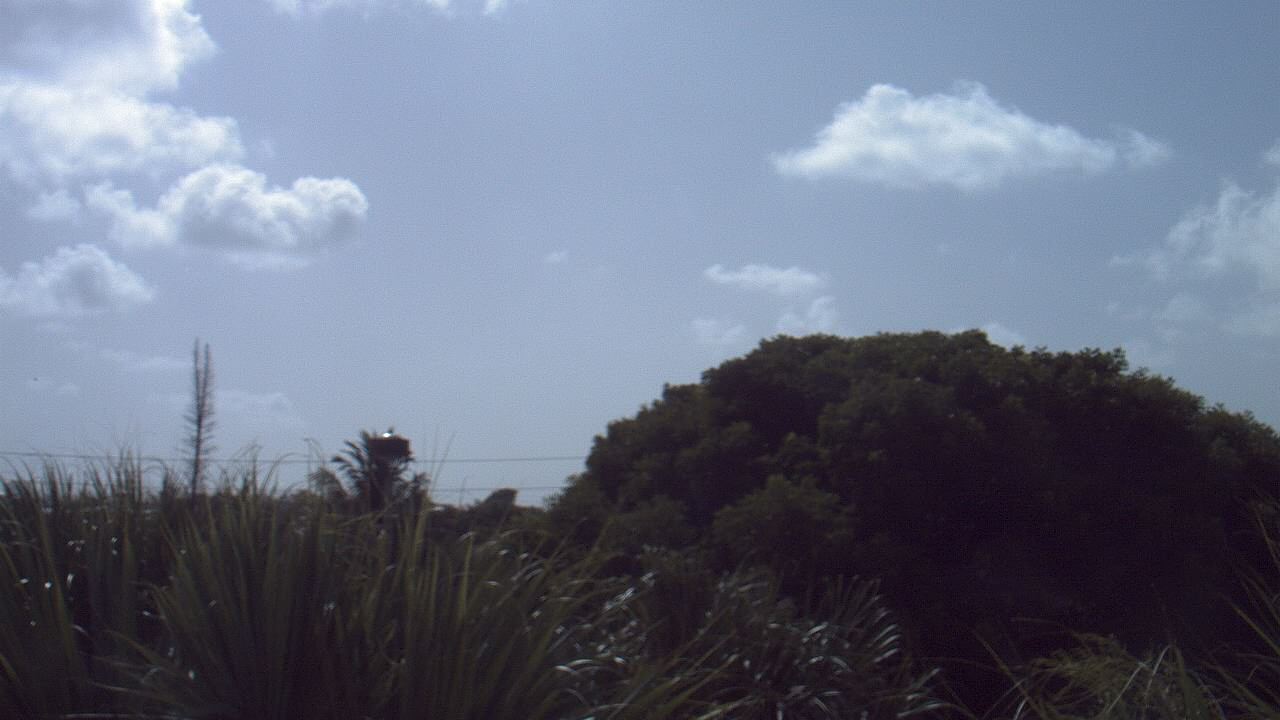 Thumbnail for current weather camera view from Dr Mary McLeod Bethune ES in Riviera Beach, Florida