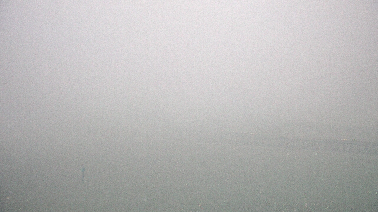 Thumbnail for current weather camera view from Chesapeake Bay Beach Club in Stevensville, Maryland