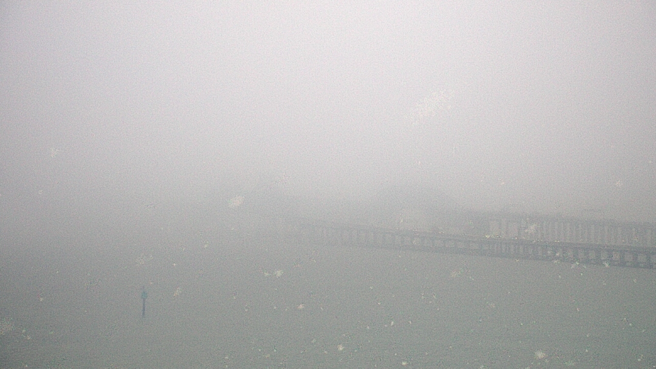 Thumbnail for current weather camera view from Chesapeake Bay Beach Club in Stevensville, Maryland