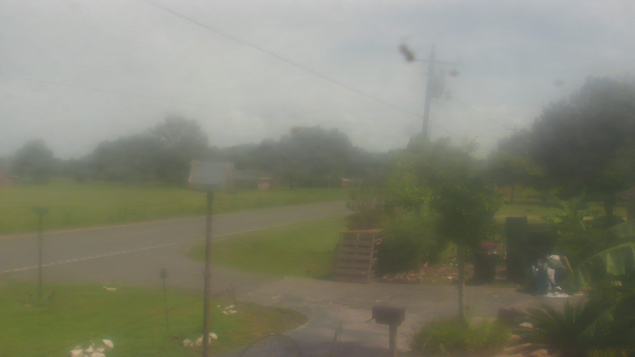 Thumbnail for current weather camera view from Radio Forecast Network in Scott, Louisiana