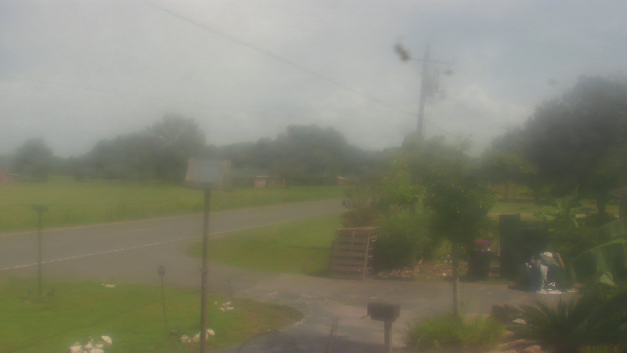 Thumbnail for current weather camera view from Radio Forecast Network in Scott, Louisiana