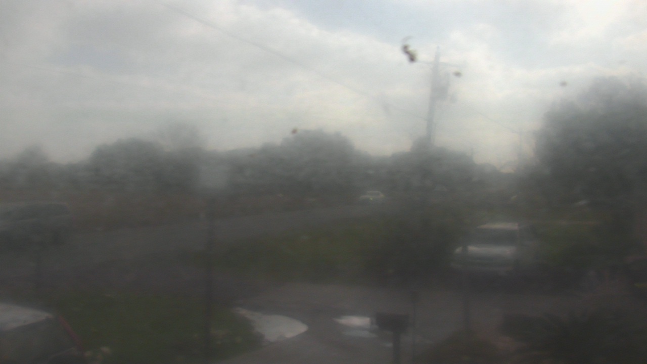 Thumbnail for current weather camera view from Radio Forecast Network in Scott, Louisiana