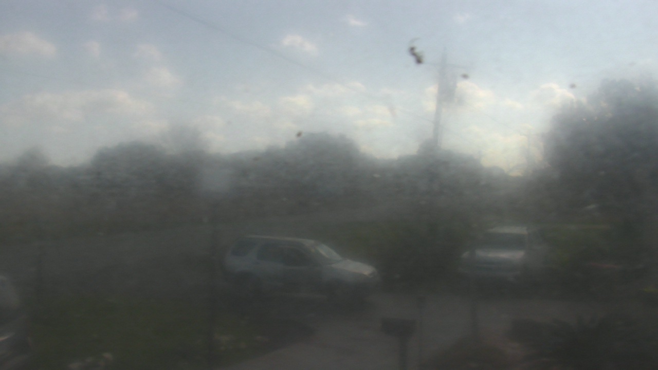 Thumbnail for current weather camera view from Radio Forecast Network in Scott, Louisiana