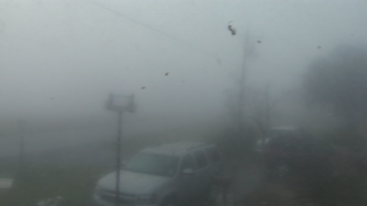 Thumbnail for current weather camera view from Radio Forecast Network in Scott, Louisiana