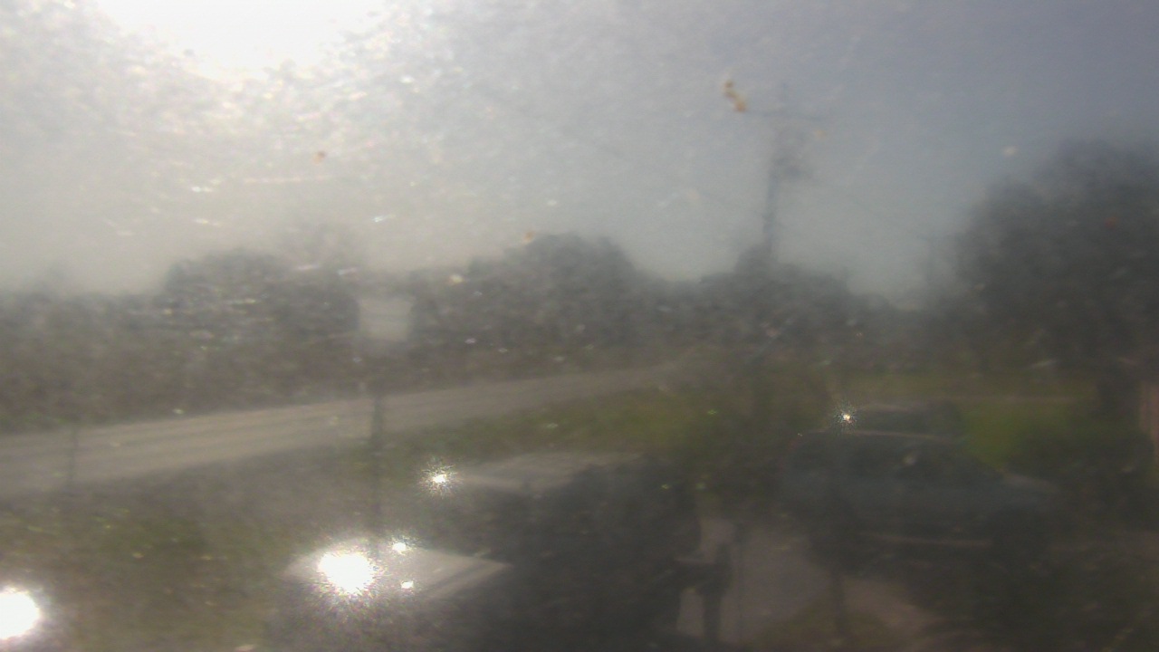 Thumbnail for current weather camera view from Radio Forecast Network in Scott, Louisiana