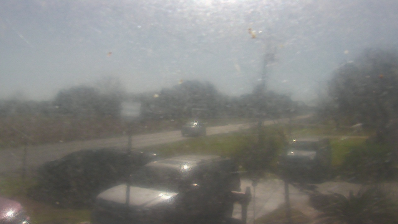 Thumbnail for current weather camera view from Radio Forecast Network in Scott, Louisiana