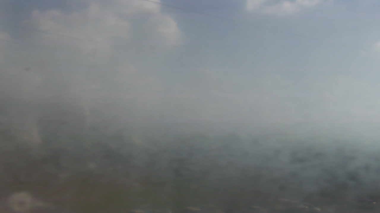 Thumbnail for current weather camera view from Guadalupe School Utah in Salt Lake City, Utah