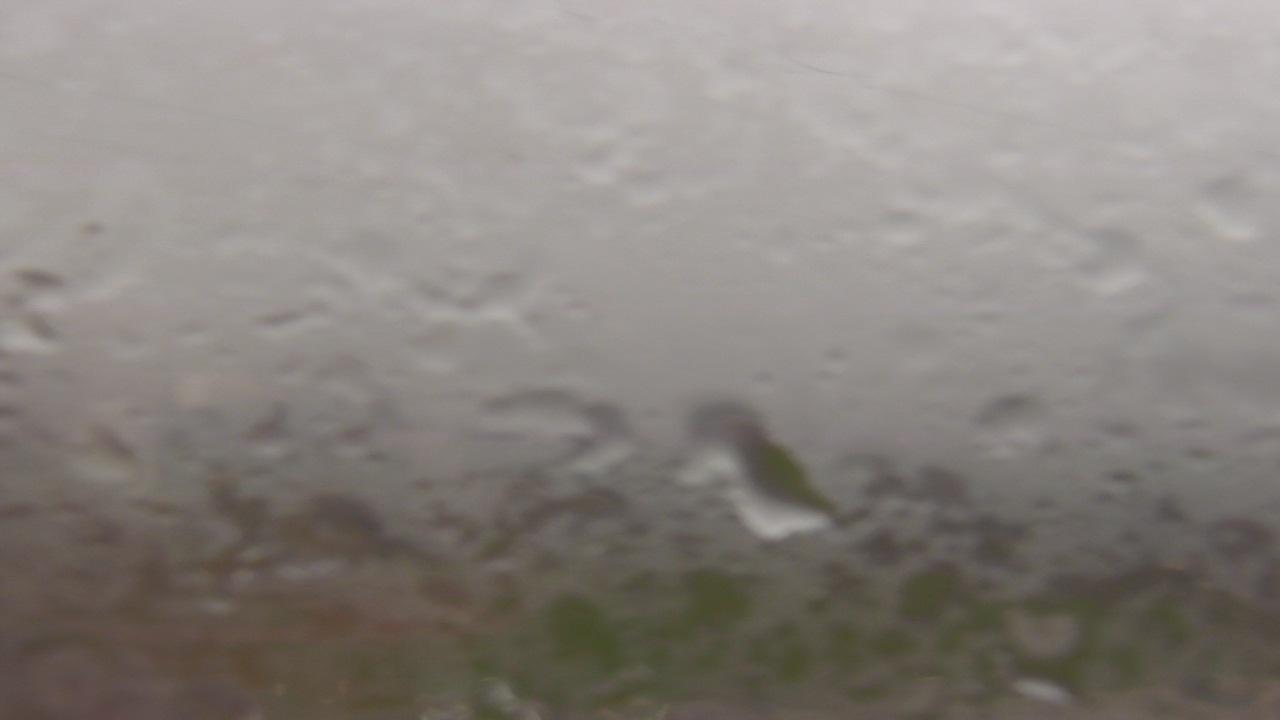 Thumbnail for current weather camera view from Guadalupe School Utah in Salt Lake City, Utah